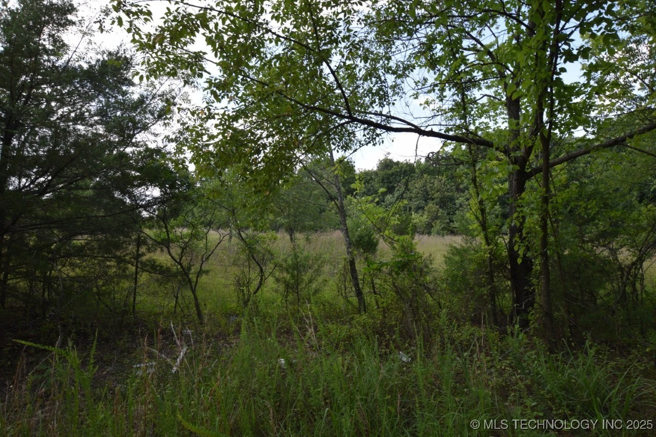 36005 Hwy 20 Property Photo 10