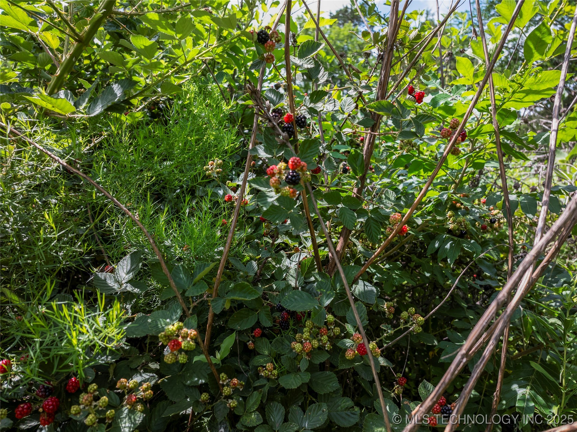 417th West Avenue Property Photo 18