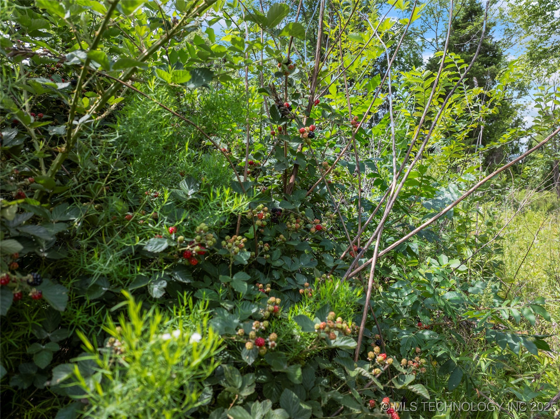 417th West Avenue Property Photo 19