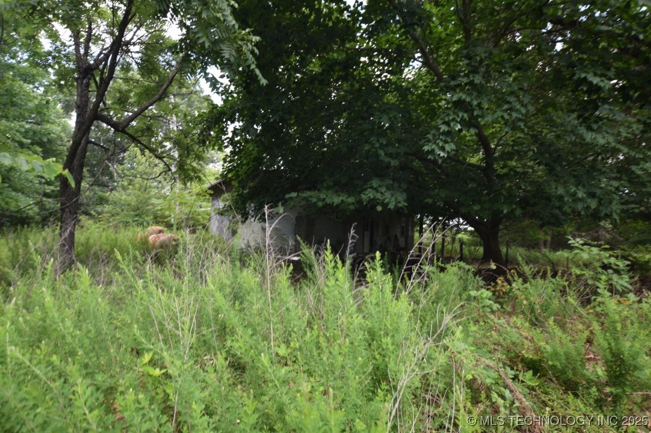 36321 Hwy 20 Property Photo 4