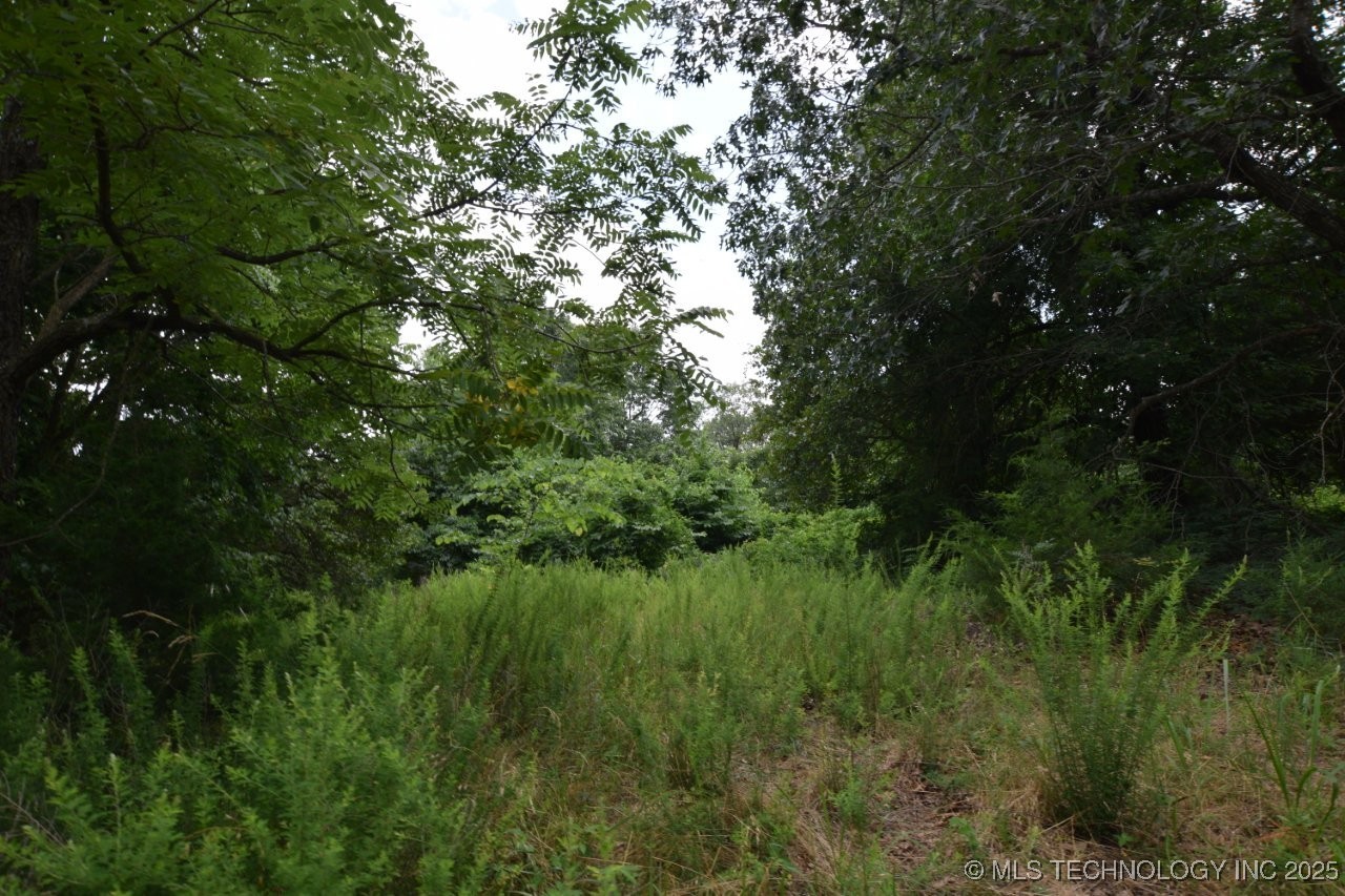 36321 Hwy 20 Property Photo 13