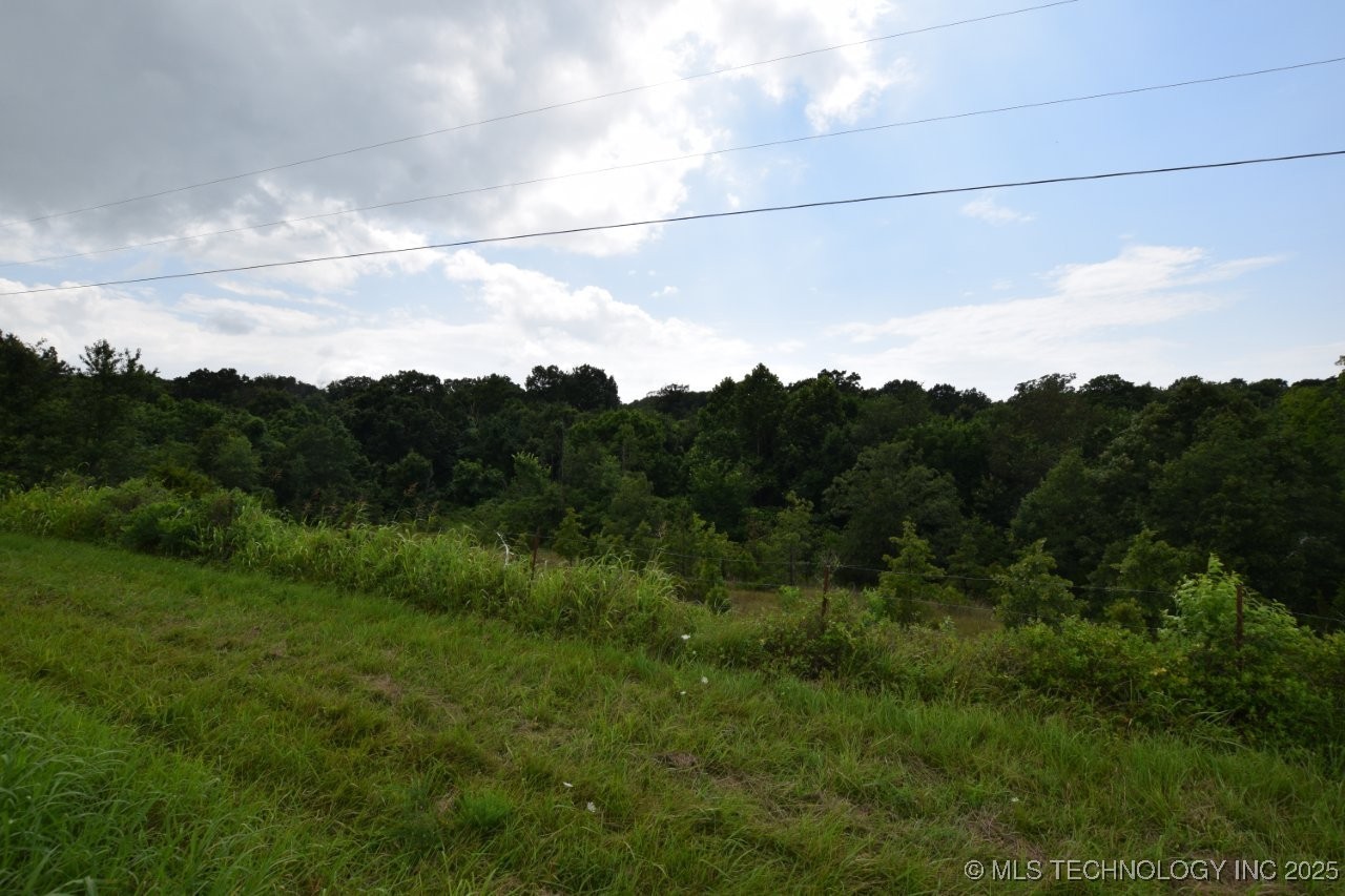 36321 Hwy 20 Property Photo 15