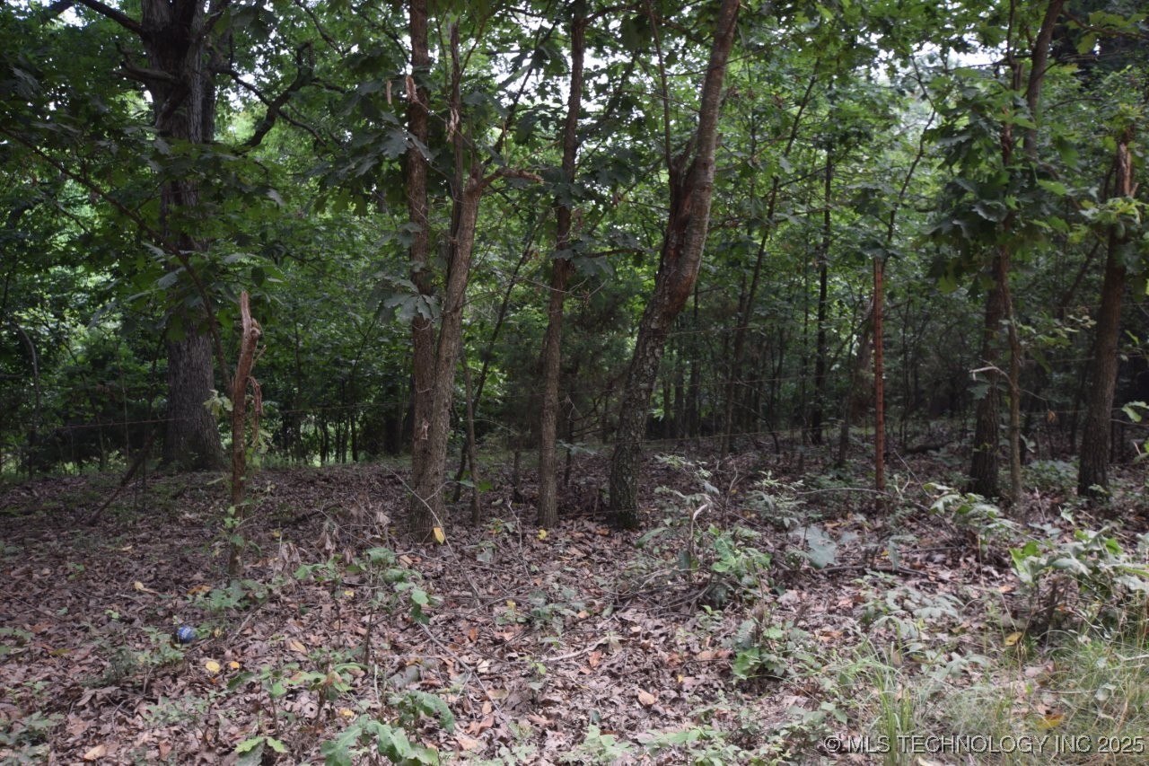 70331 E 360 Road Property Photo 2