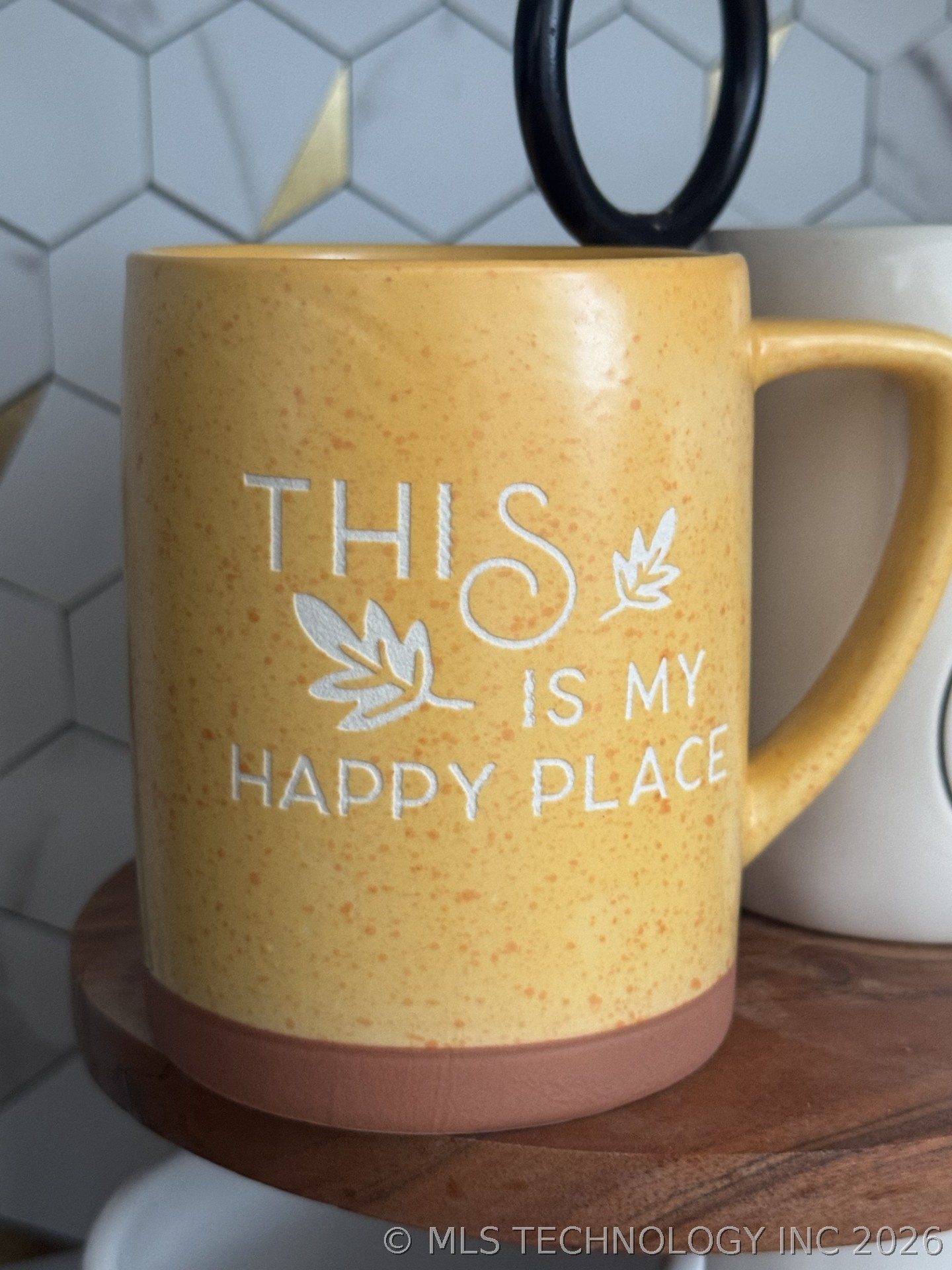 32302 S 555 Road Property Photo 29