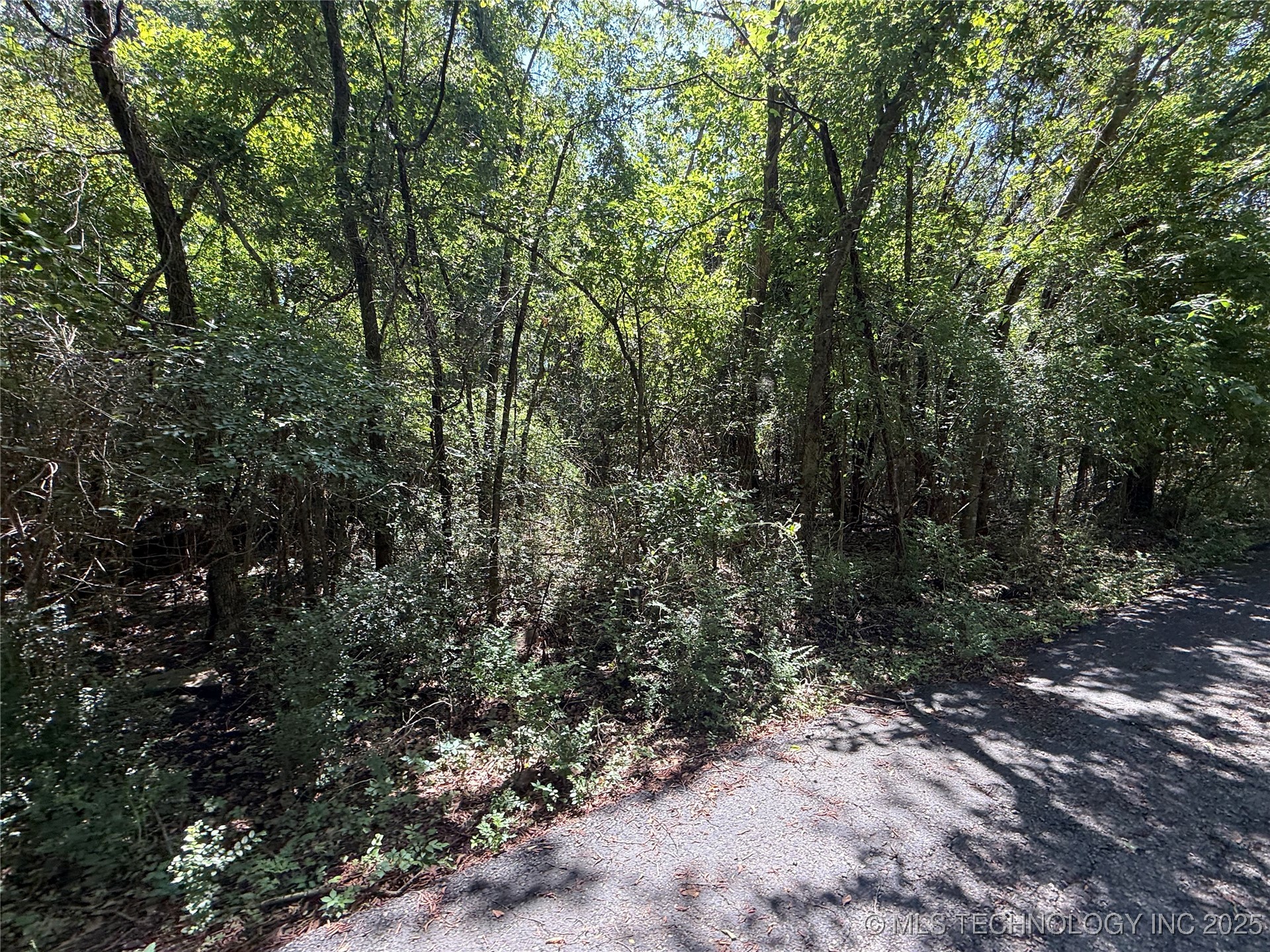 Blairwood Drive Property Photo 2