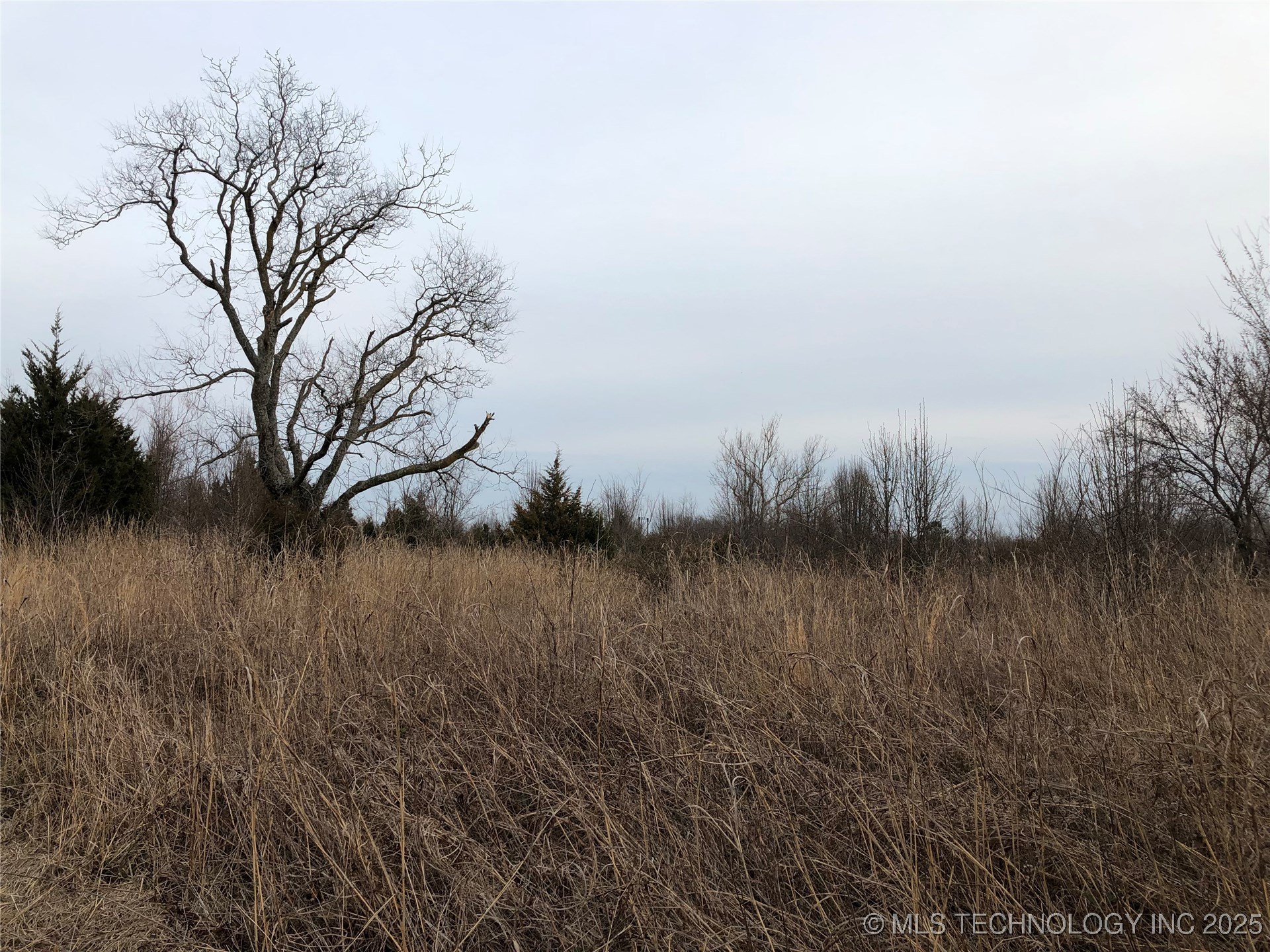 17810 E 101st Street Property Photo 3