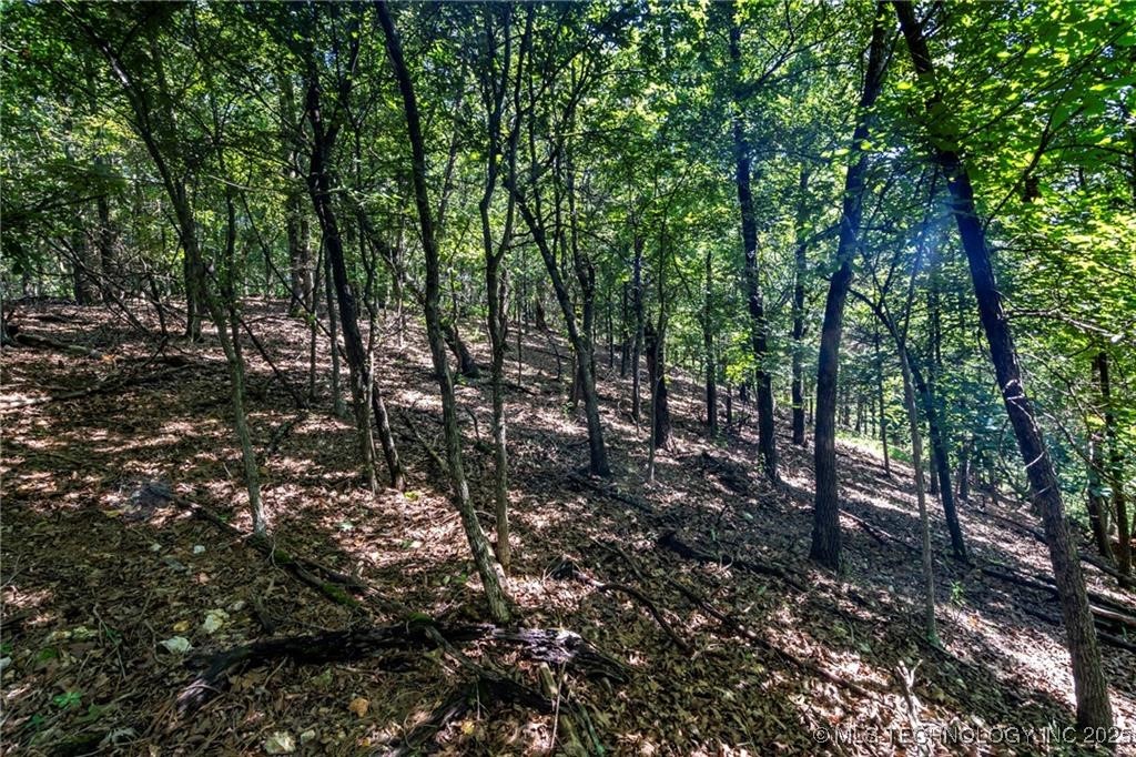 1255 Whippoorwill Road Property Photo 1