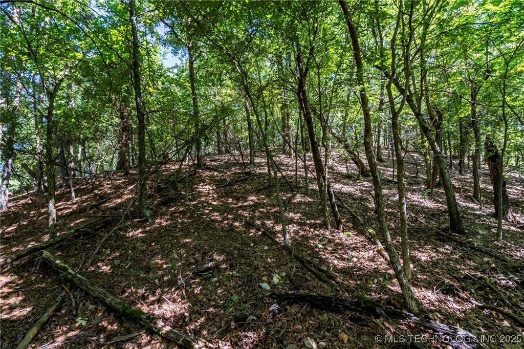 1255 Whippoorwill Road Property Photo 2