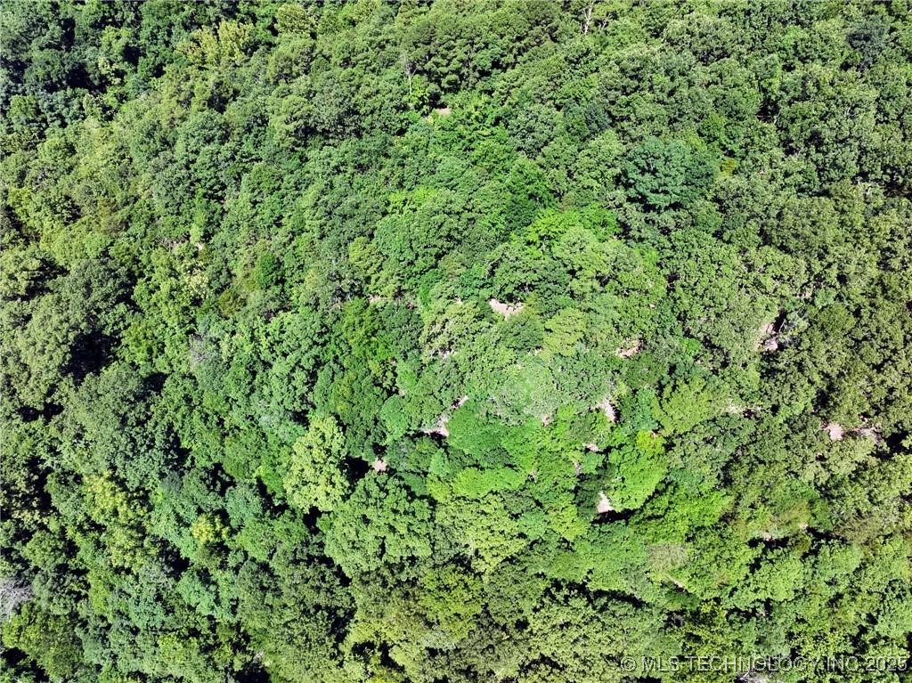 1255 Whippoorwill Road Property Photo 7