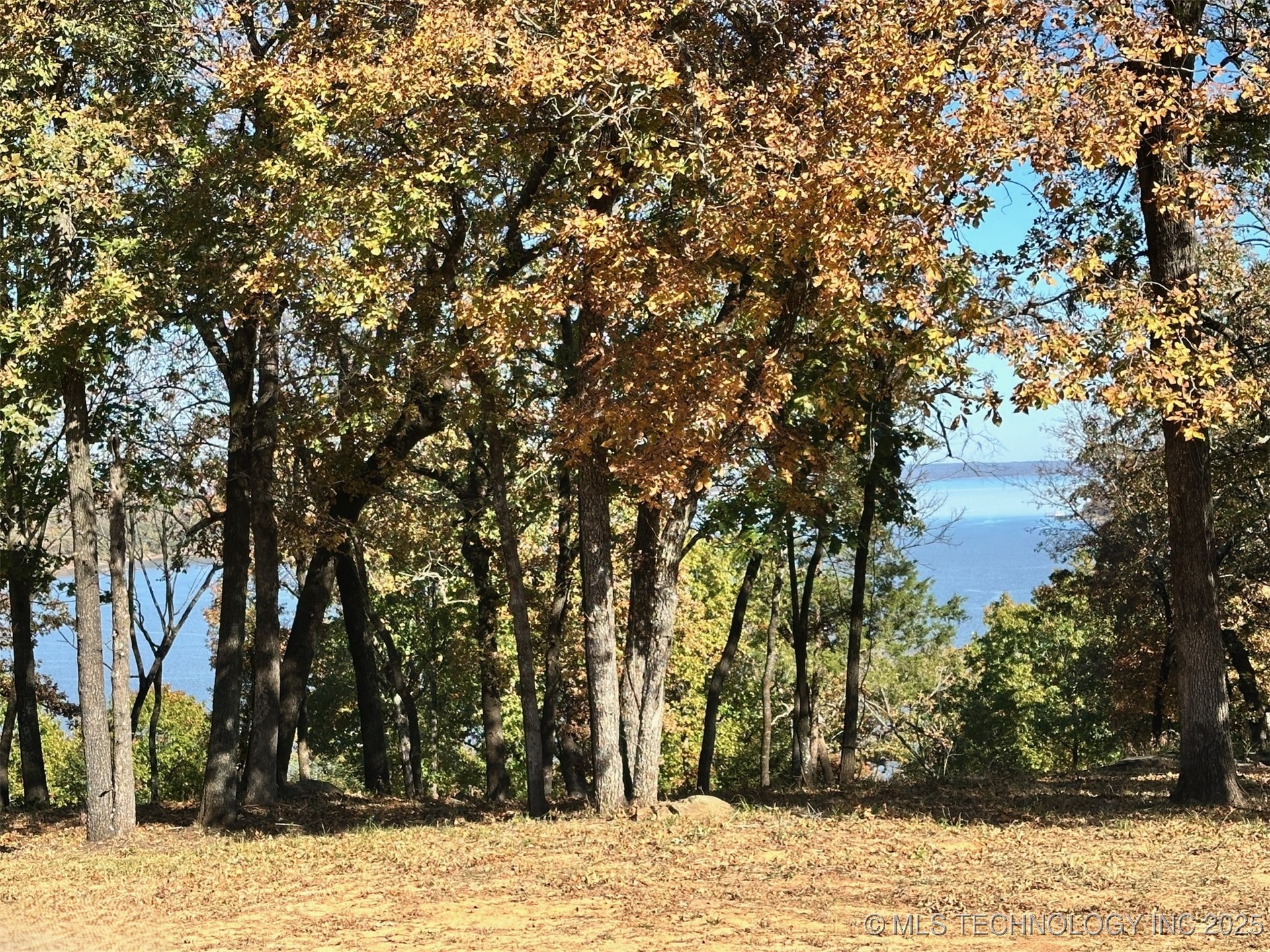 81 Patriot Pointe Property Photo 3