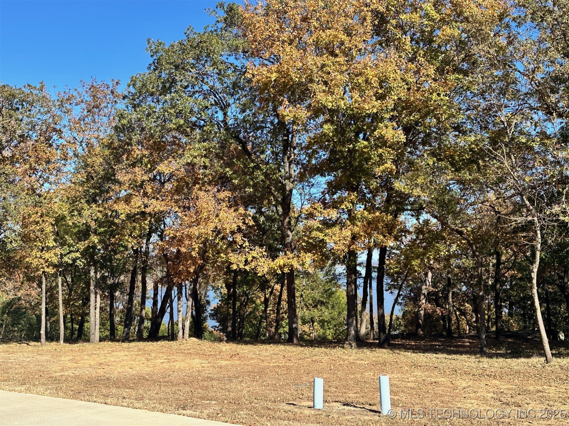 81 Patriot Pointe Property Photo 5