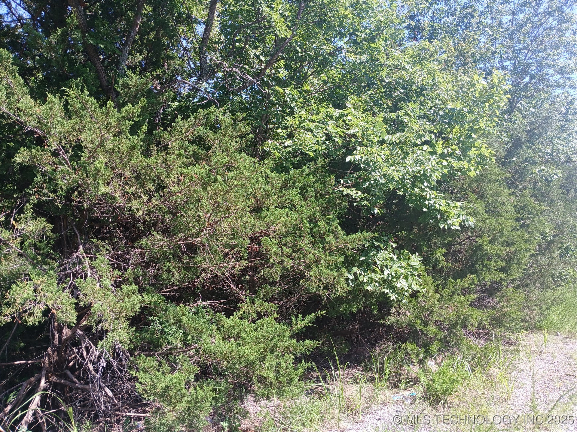 Dozer Bend Property Photo 1