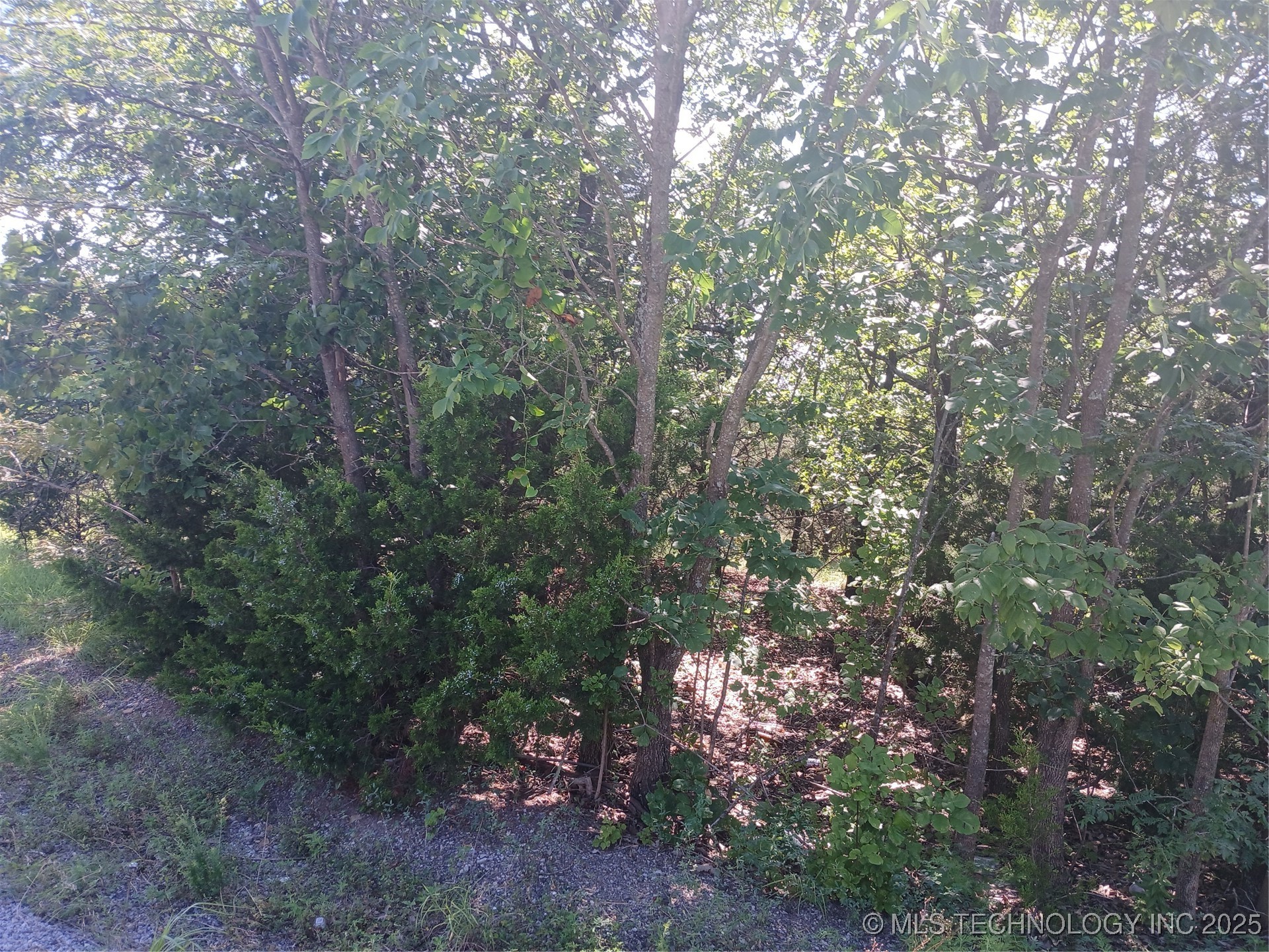 Dozer Bend Property Photo 2