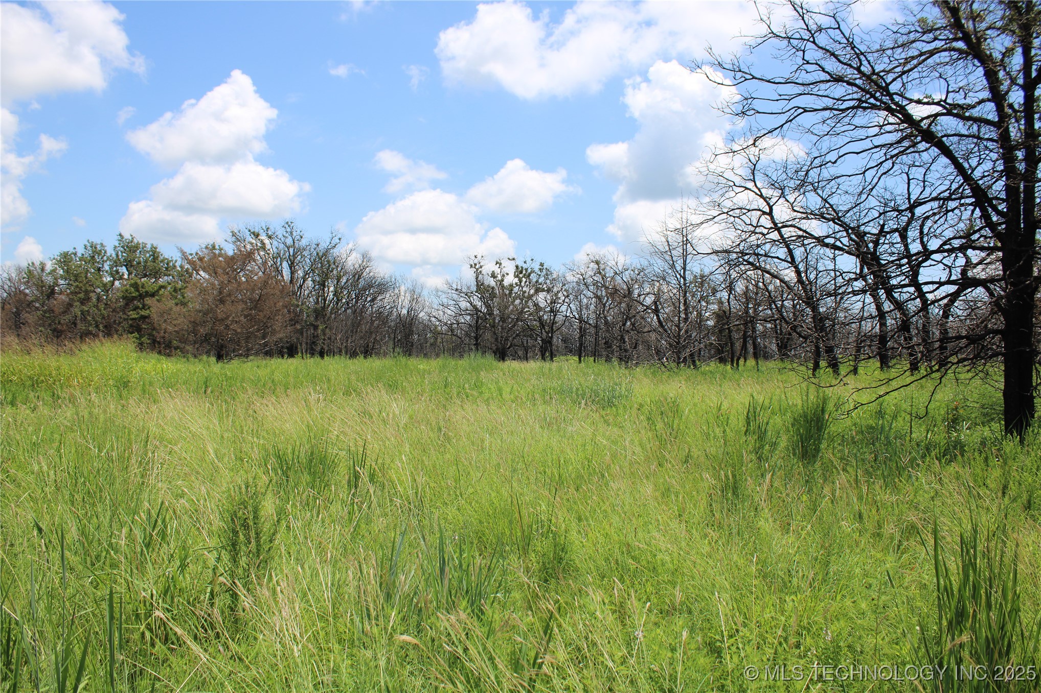 0000 E Seward Road Property Photo 26