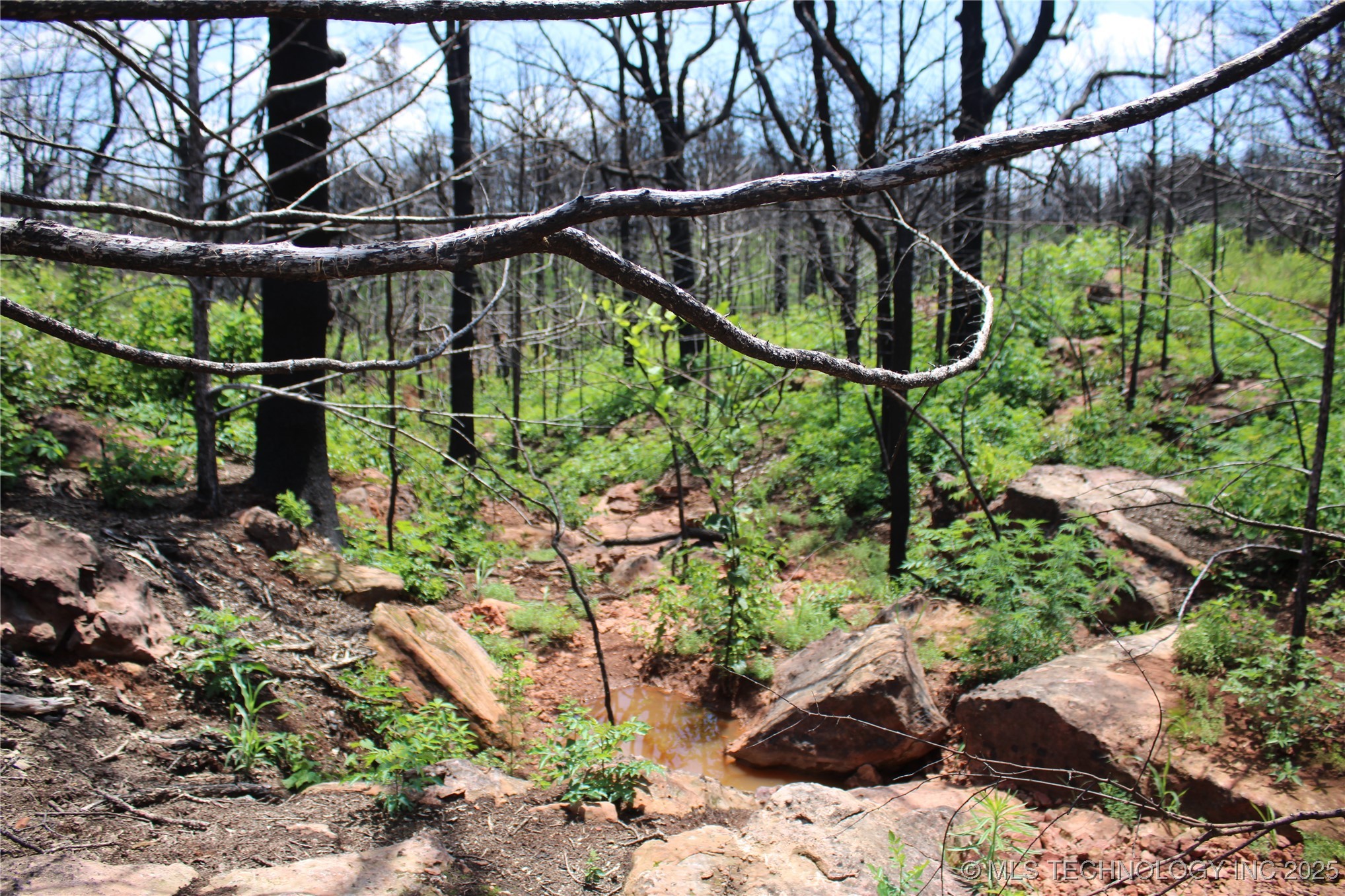 0000 E Seward Road Property Photo 27