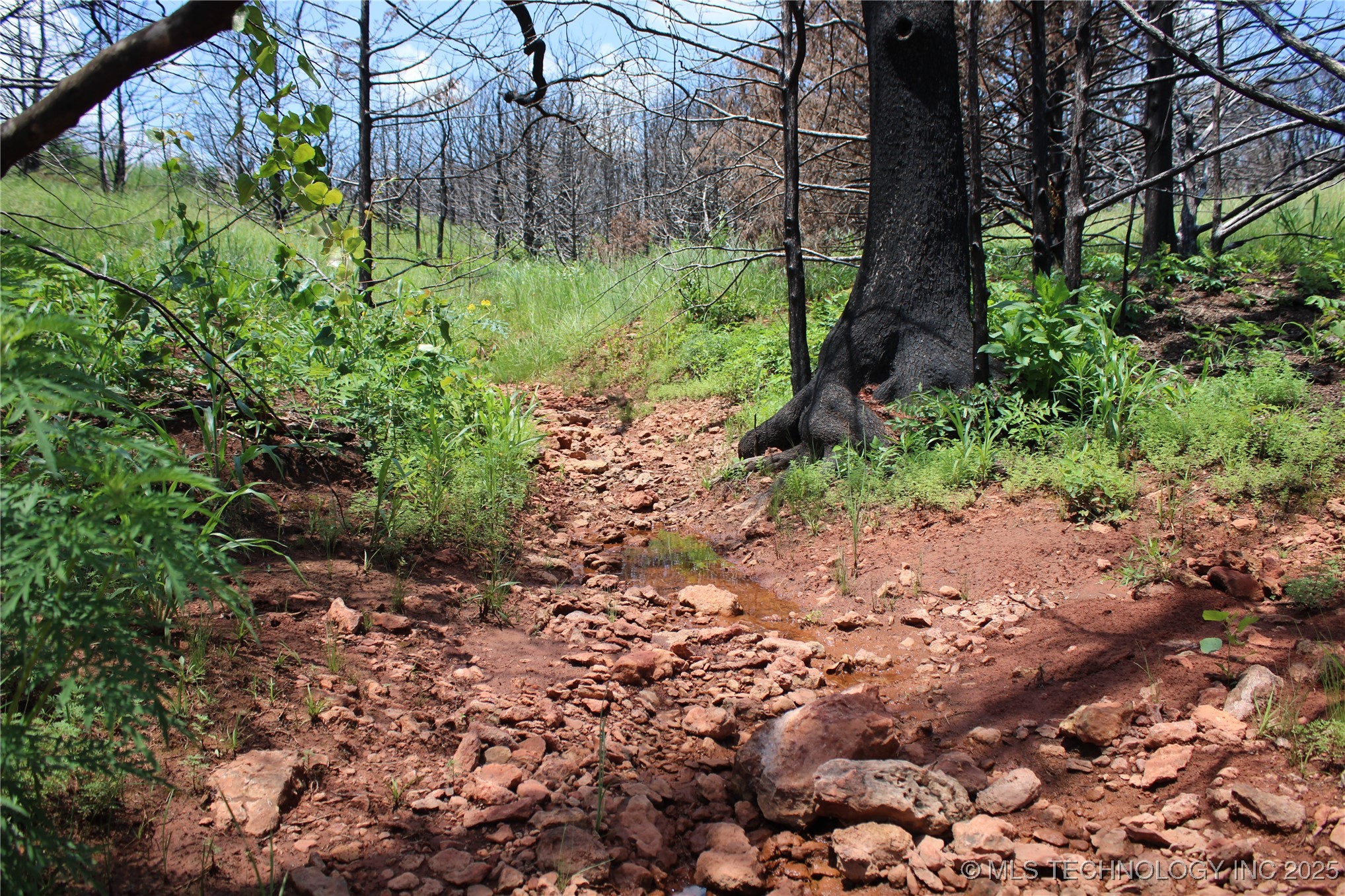 0000 E Seward Road Property Photo 28