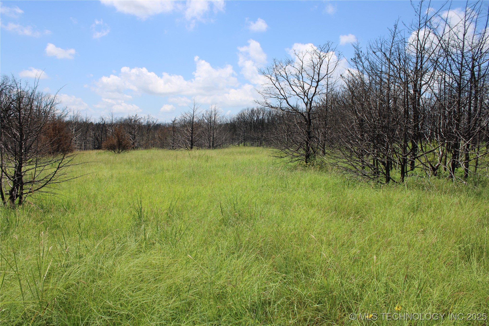 0000 E Seward Road Property Photo 30