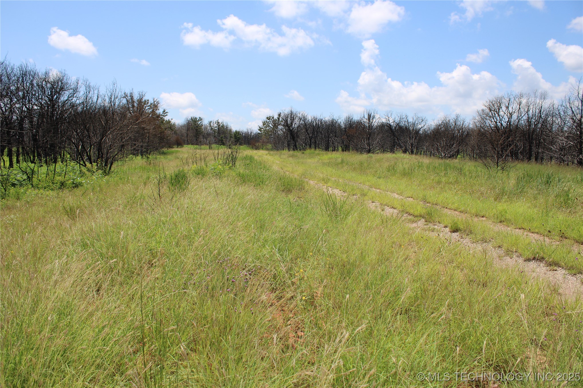 0000 E Seward Road Property Photo 33