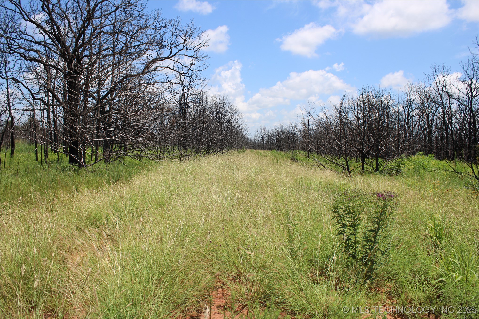 0000 E Seward Road Property Photo 34
