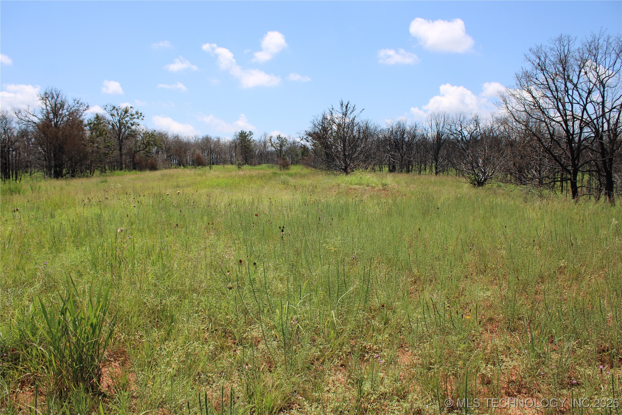 0000 E Seward Road Property Photo 36