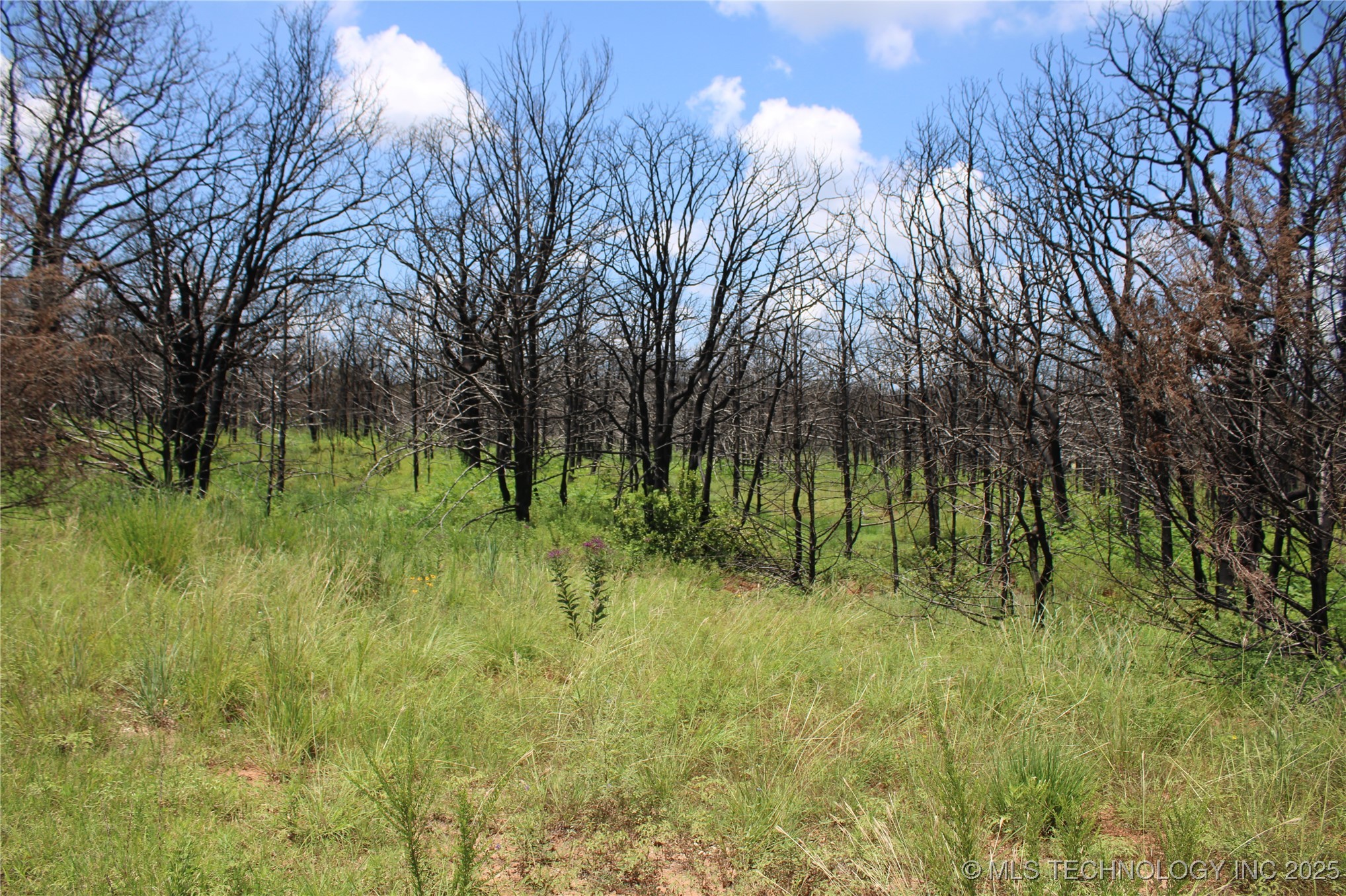 0000 E Seward Road Property Photo 38