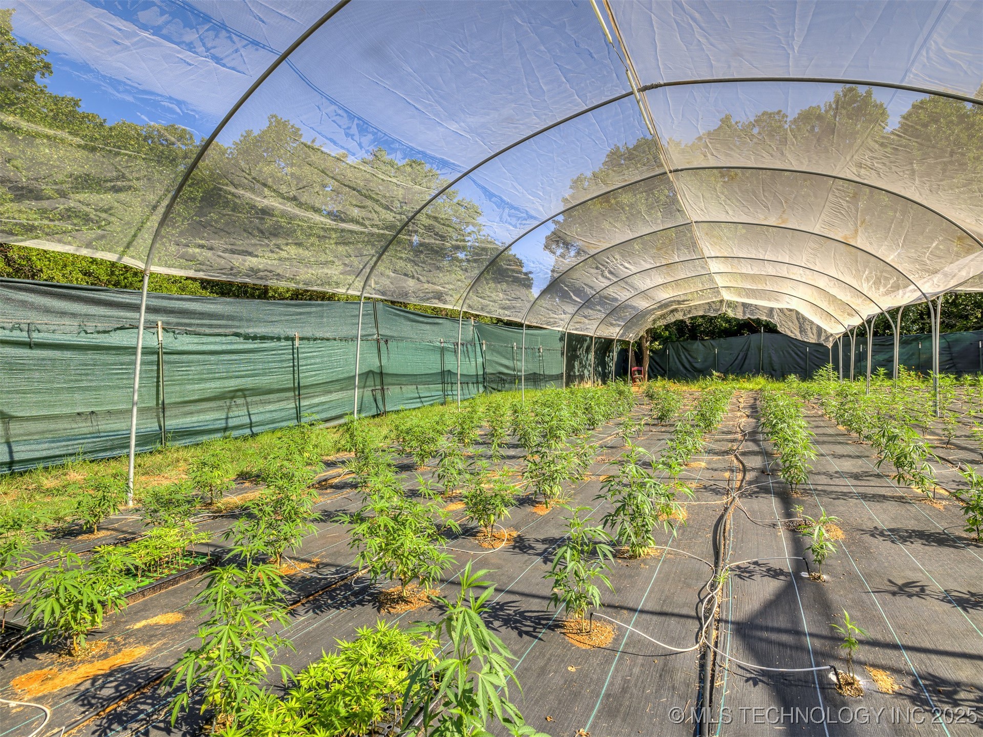 20239 Bern Property Photo 59