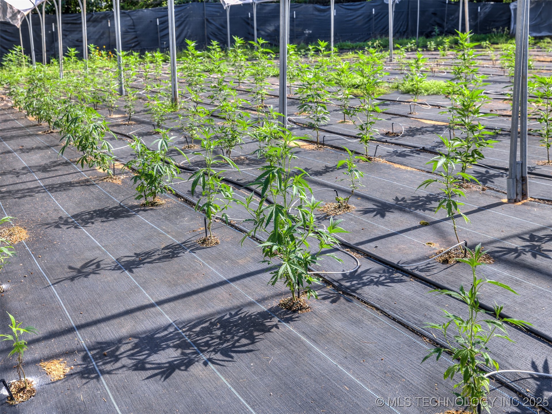 20239 Bern Property Photo 62