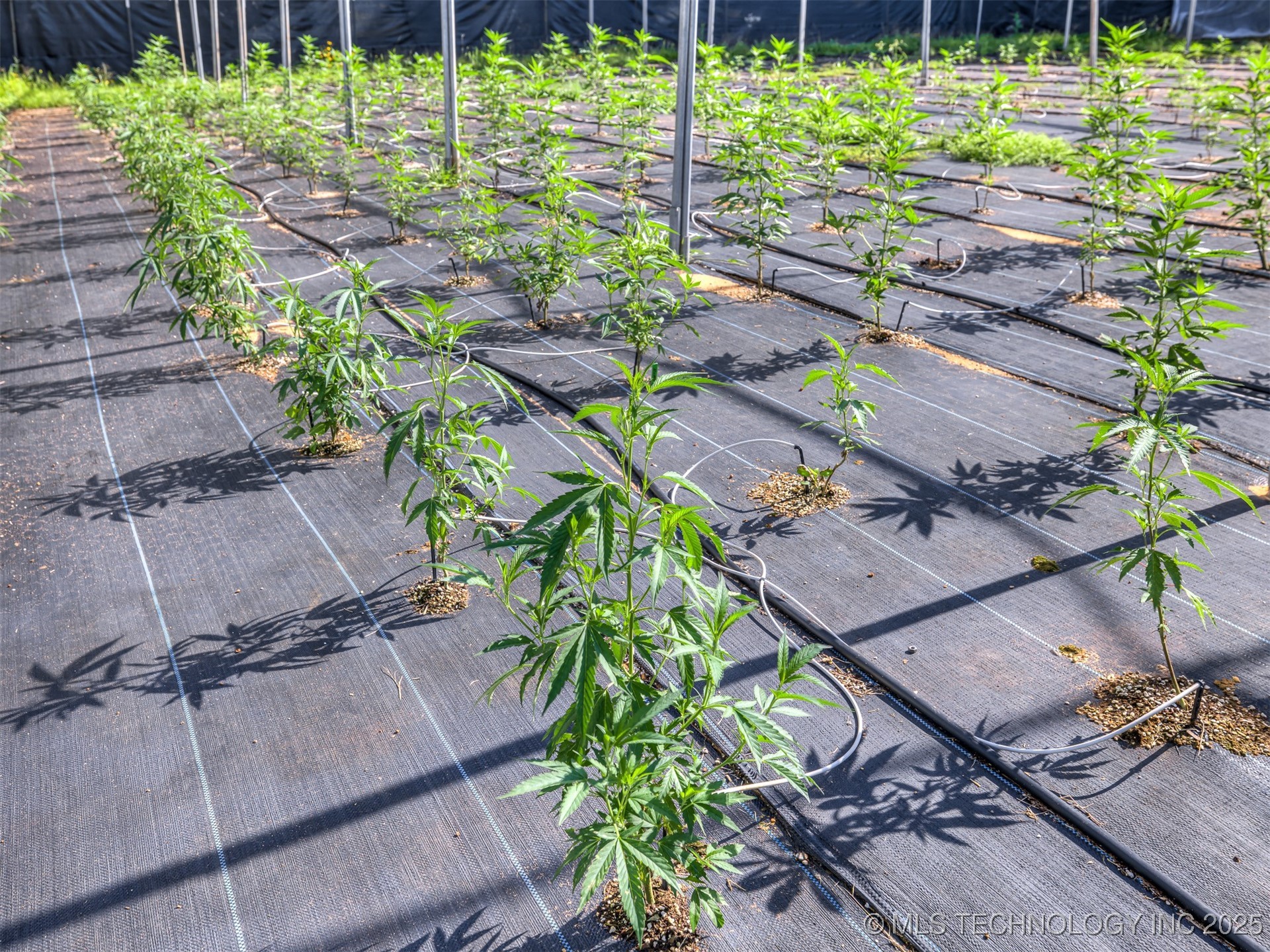 20239 Bern Property Photo 63