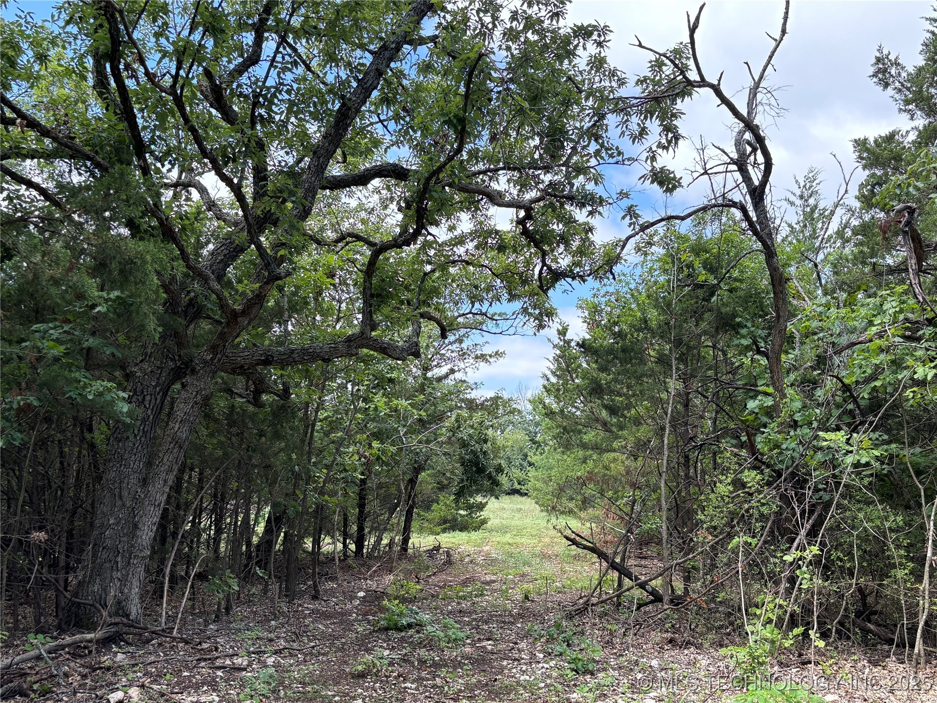 11185 E Gray Hill Property Photo 31