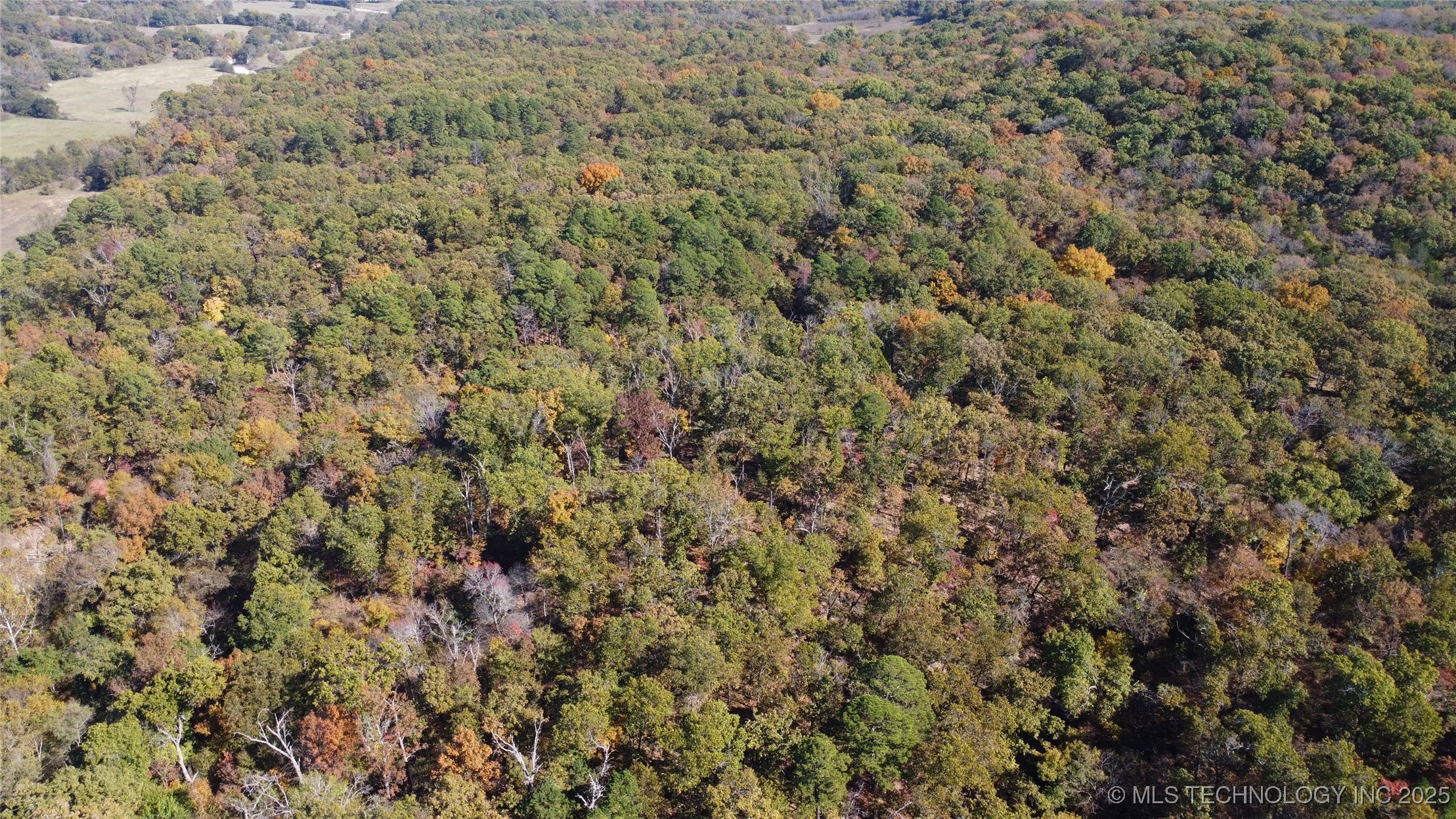 30134 S 595 Road Property Photo 1