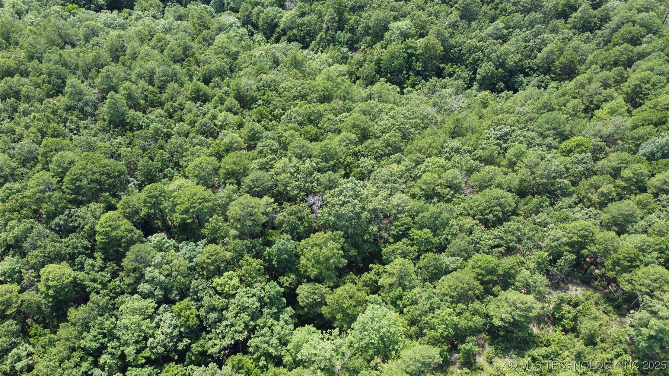 0000 E 495 Road Property Photo 3