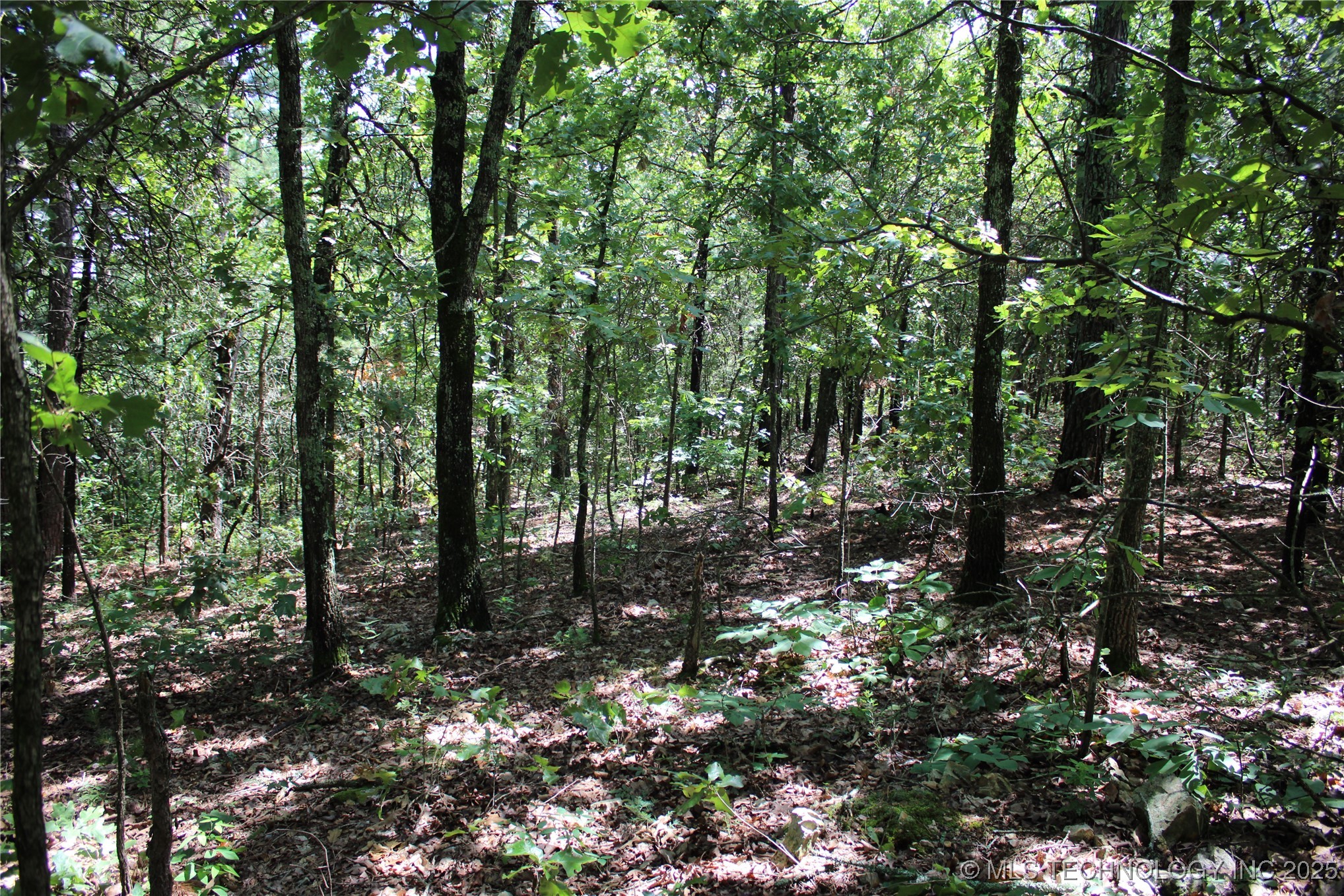 0000 E 495 Road Property Photo 8