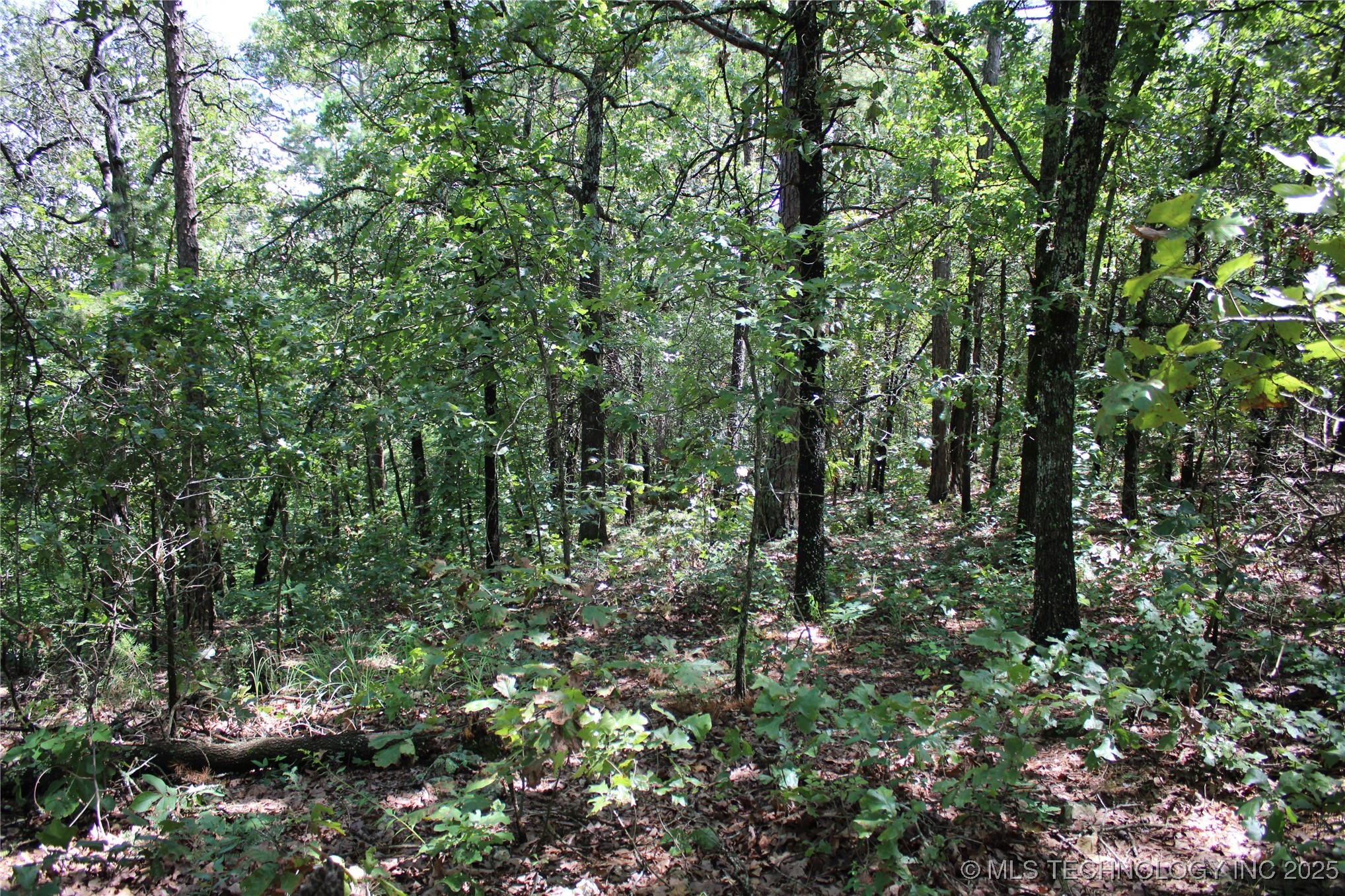 0000 E 495 Road Property Photo 9