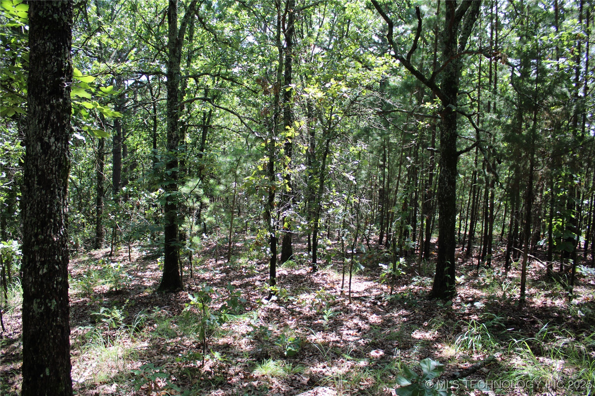 0000 E 495 Road Property Photo 10