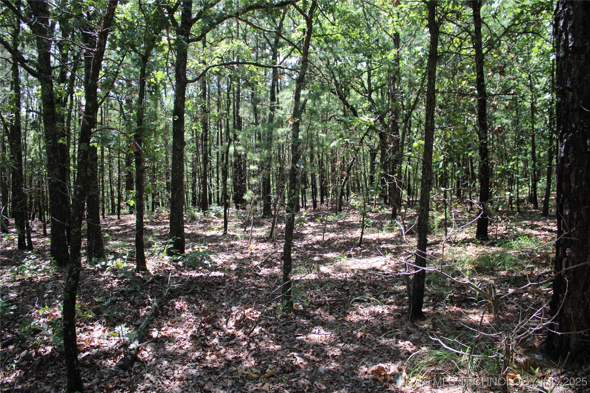 0000 E 495 Road Property Photo 11