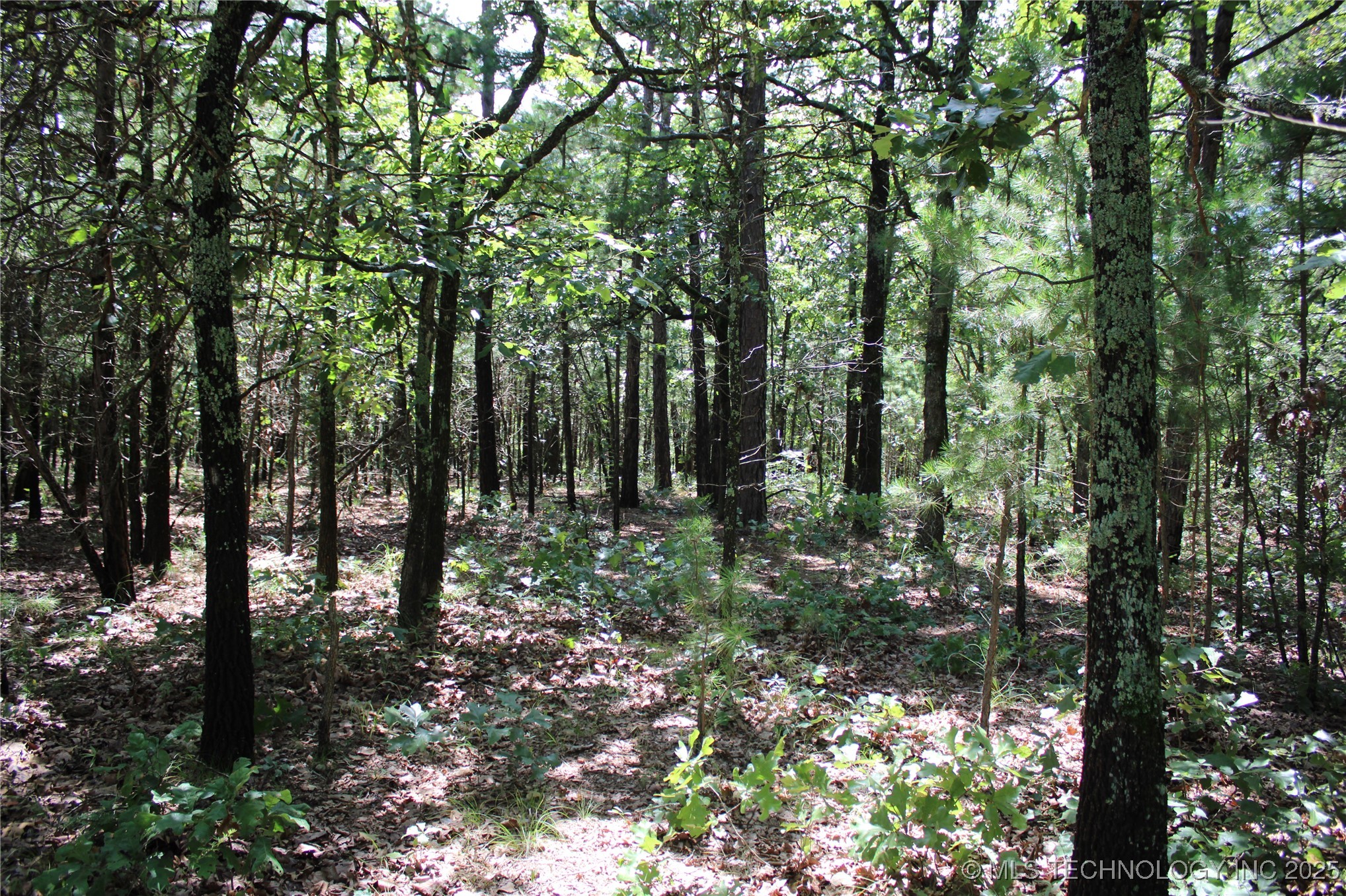 0000 E 495 Road Property Photo 12