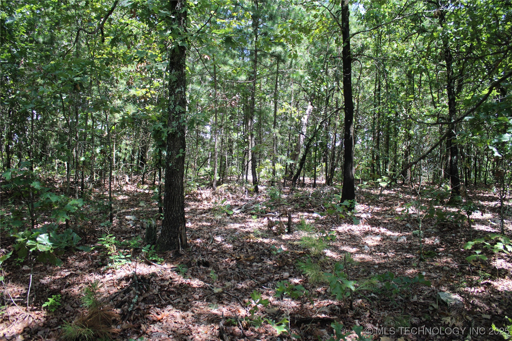 0000 E 495 Road Property Photo 13