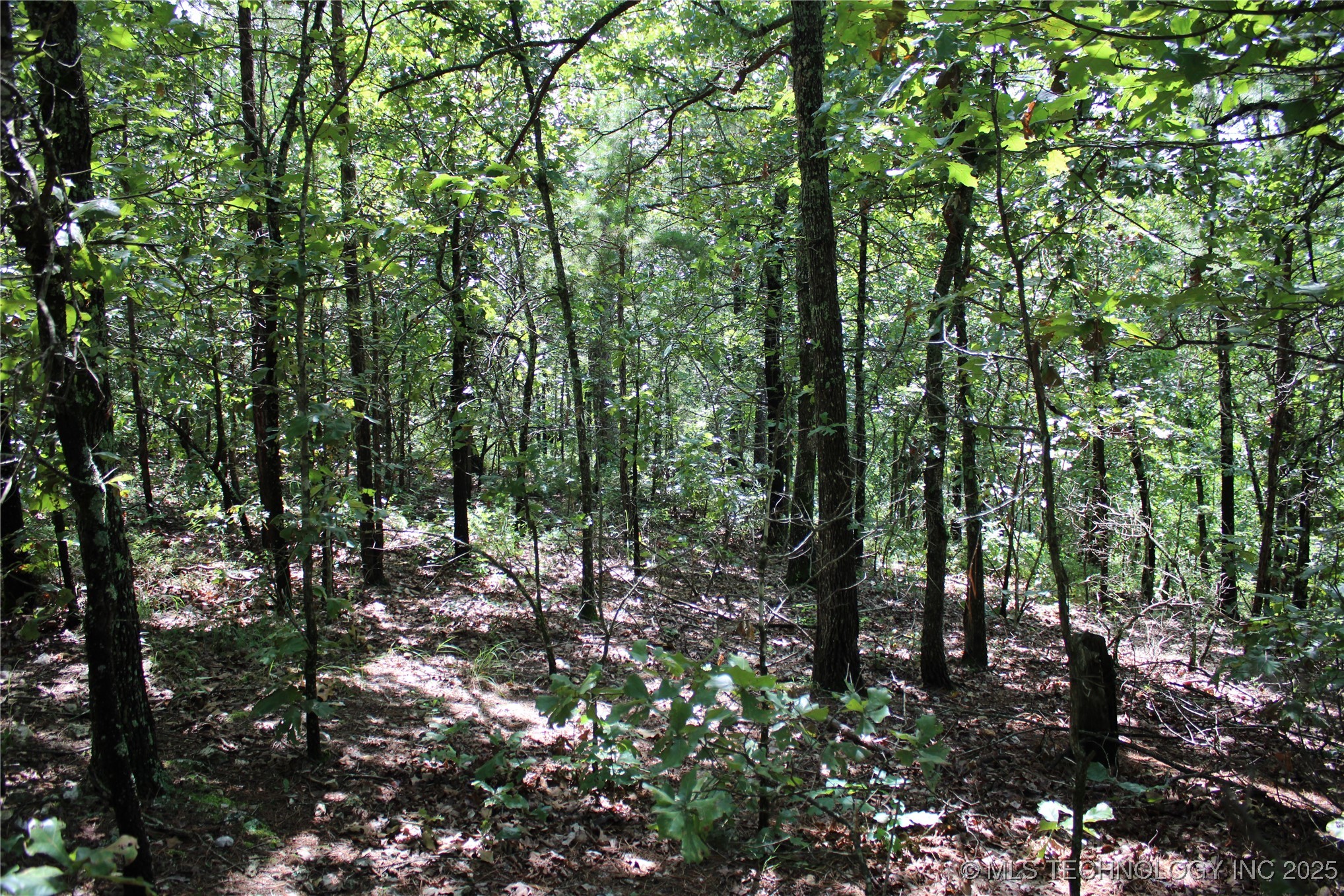 0000 E 495 Road Property Photo 14