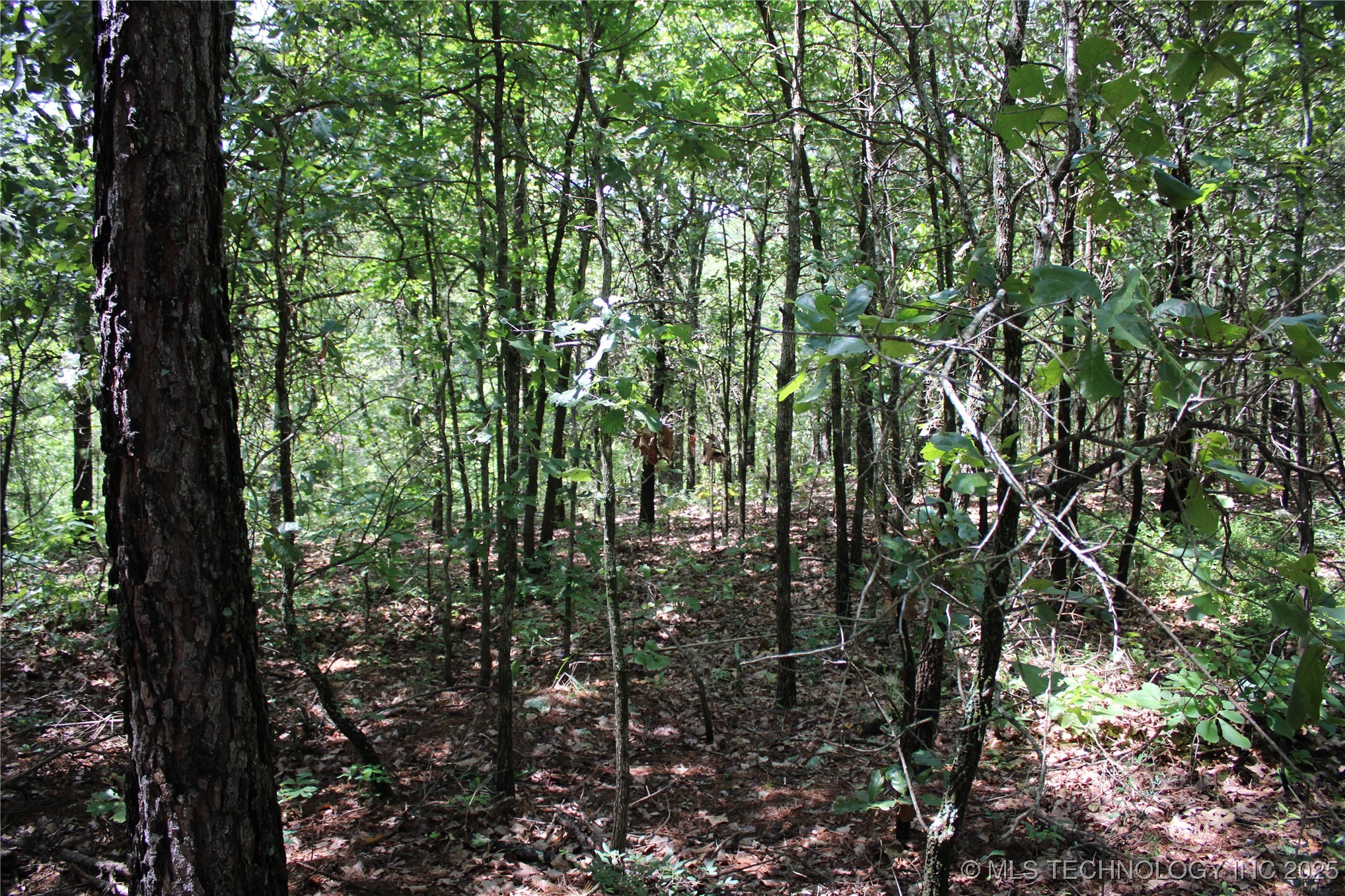 0000 E 495 Road Property Photo 15