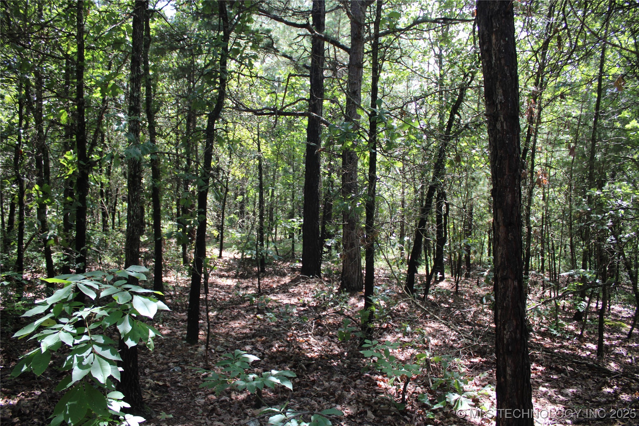 0000 E 495 Road Property Photo 16