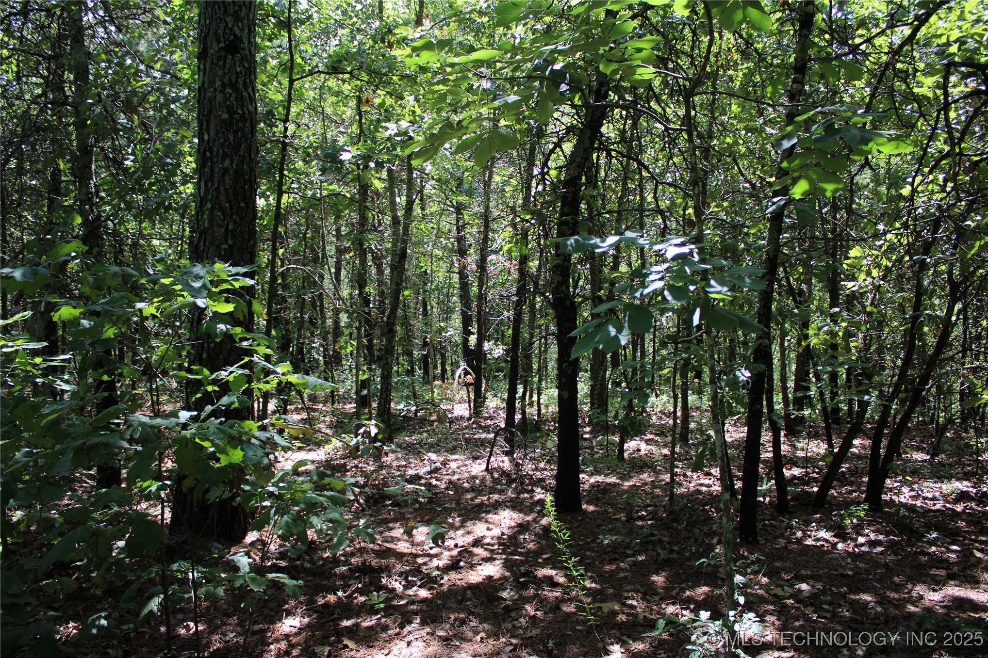 0000 E 495 Road Property Photo 17