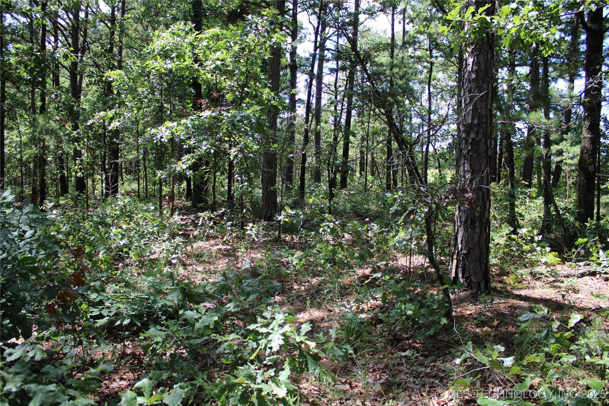 0000 E 495 Road Property Photo 18