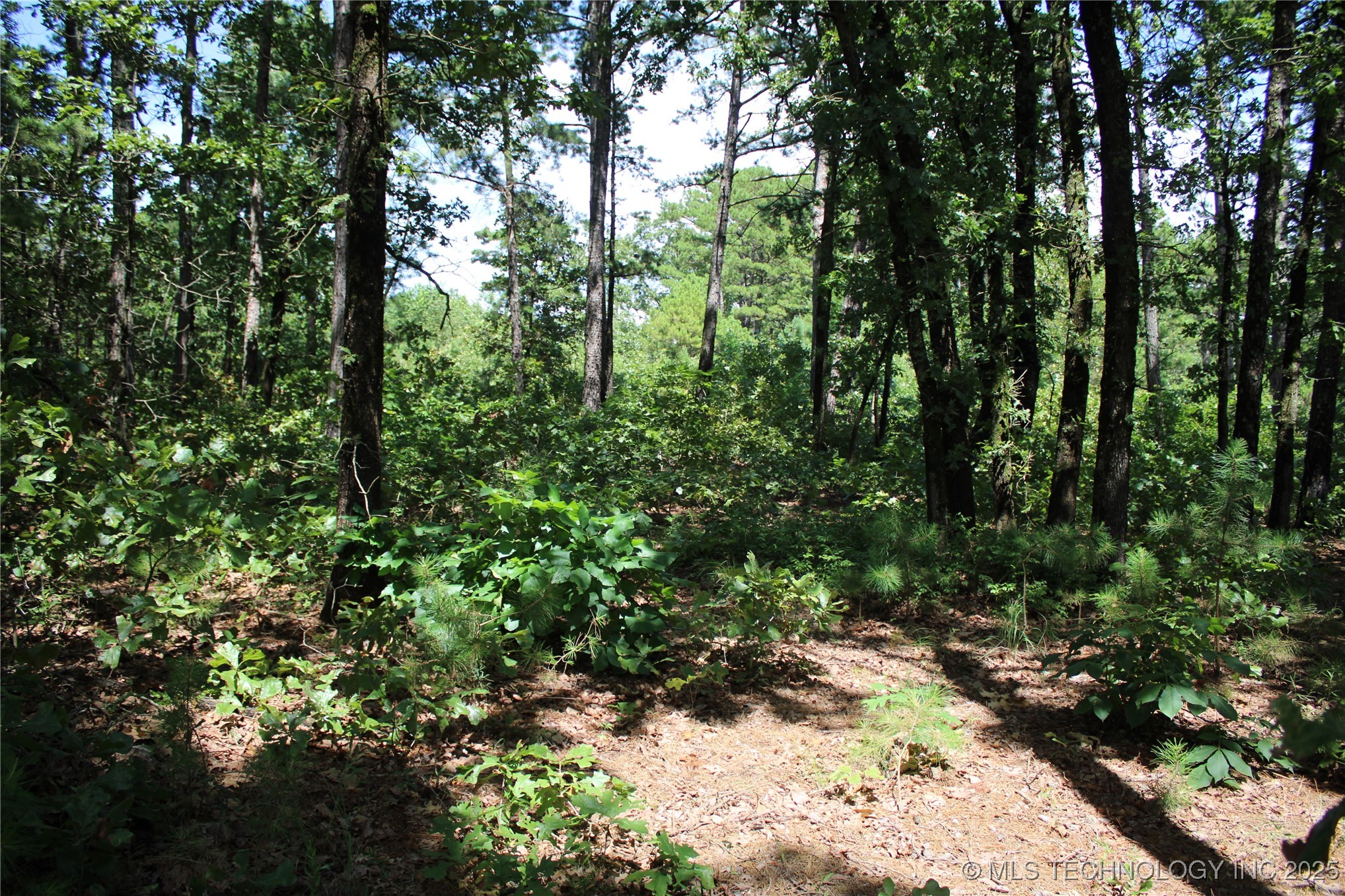 0000 E 495 Road Property Photo 19