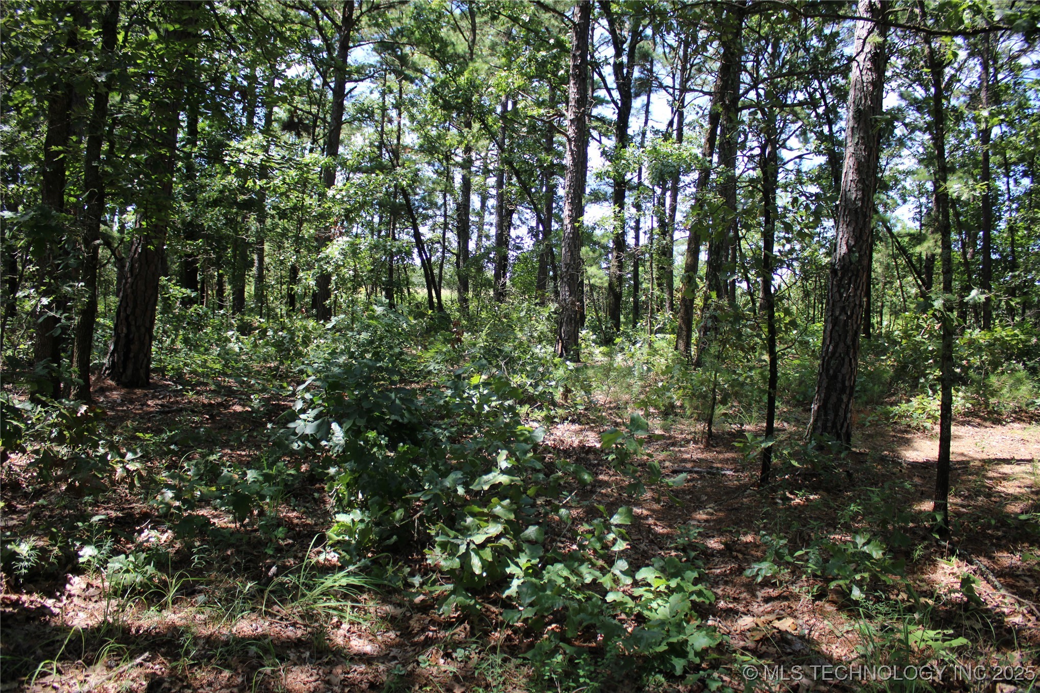 0000 E 495 Road Property Photo 20