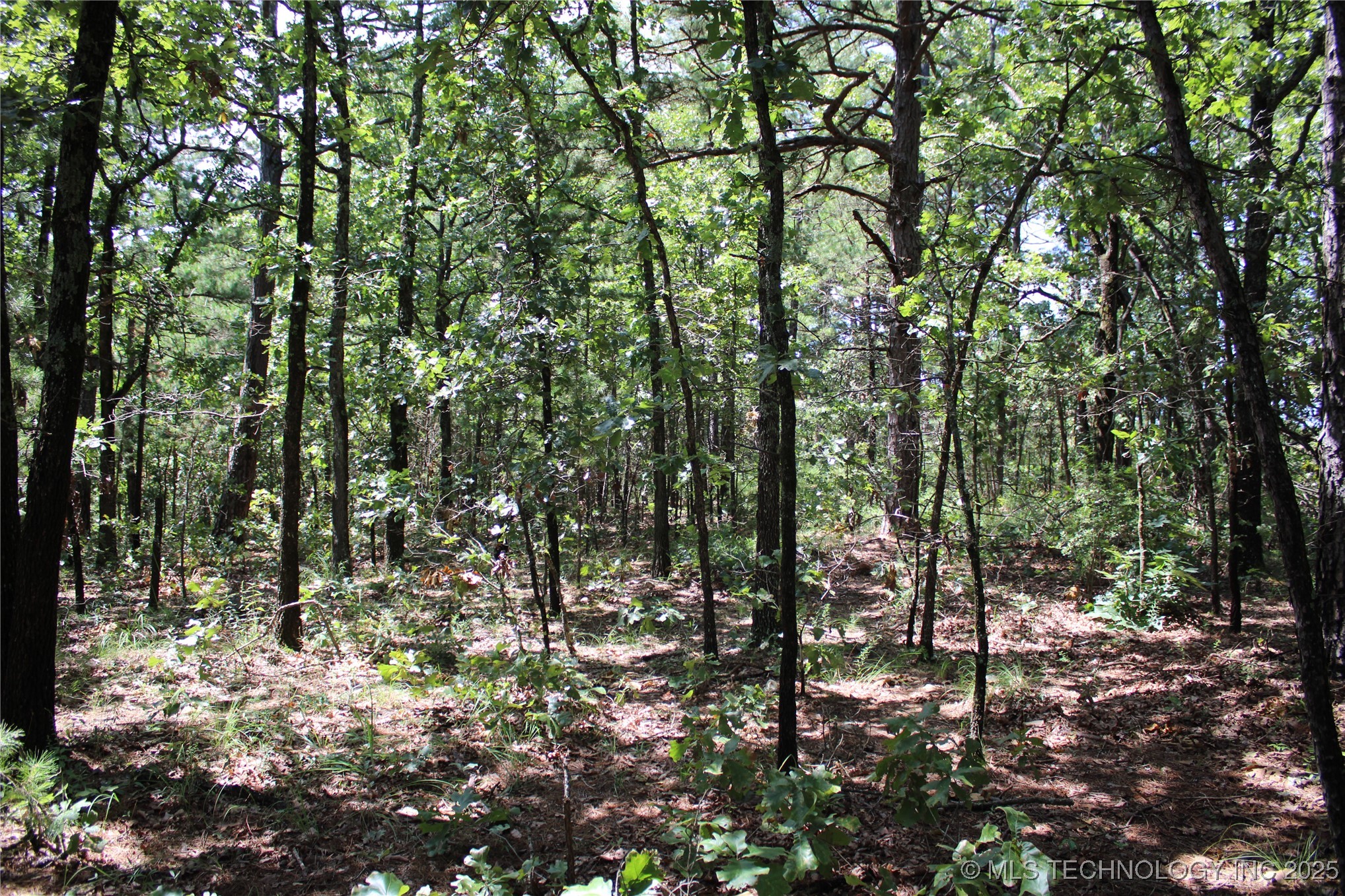 0000 E 495 Road Property Photo 21