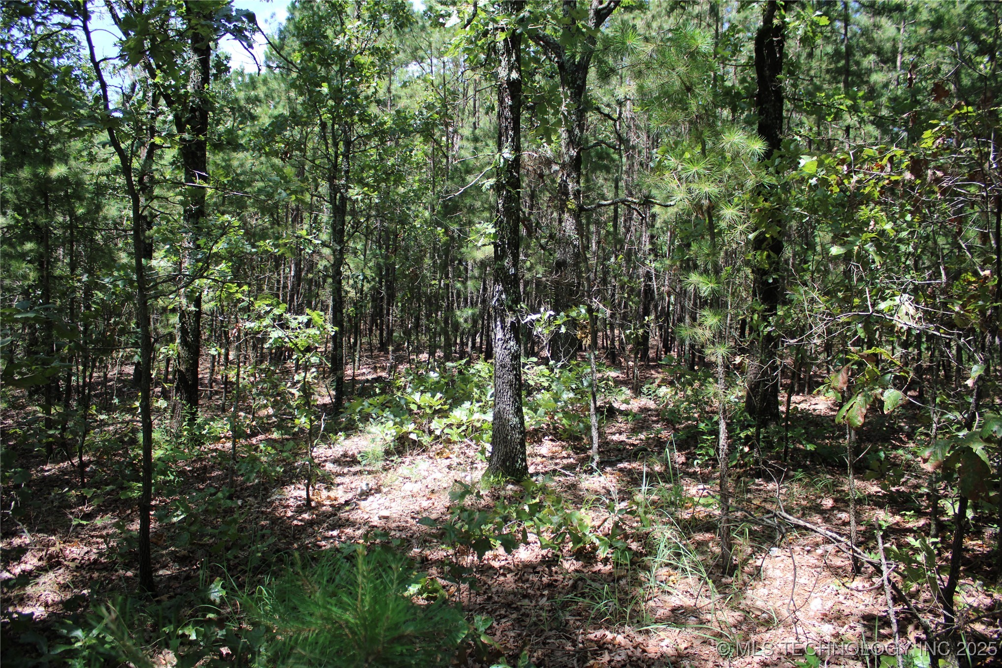 0000 E 495 Road Property Photo 22