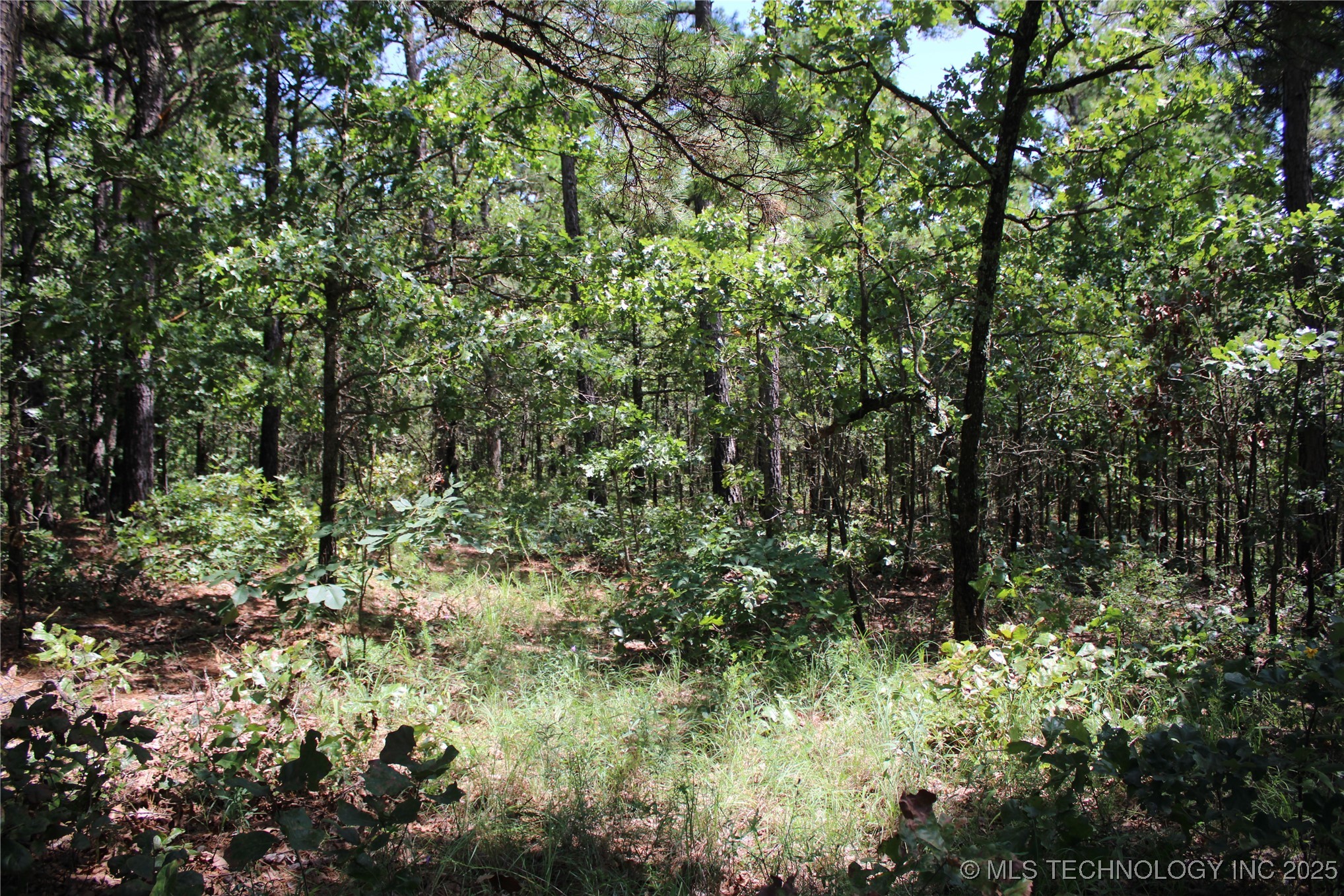 0000 E 495 Road Property Photo 23