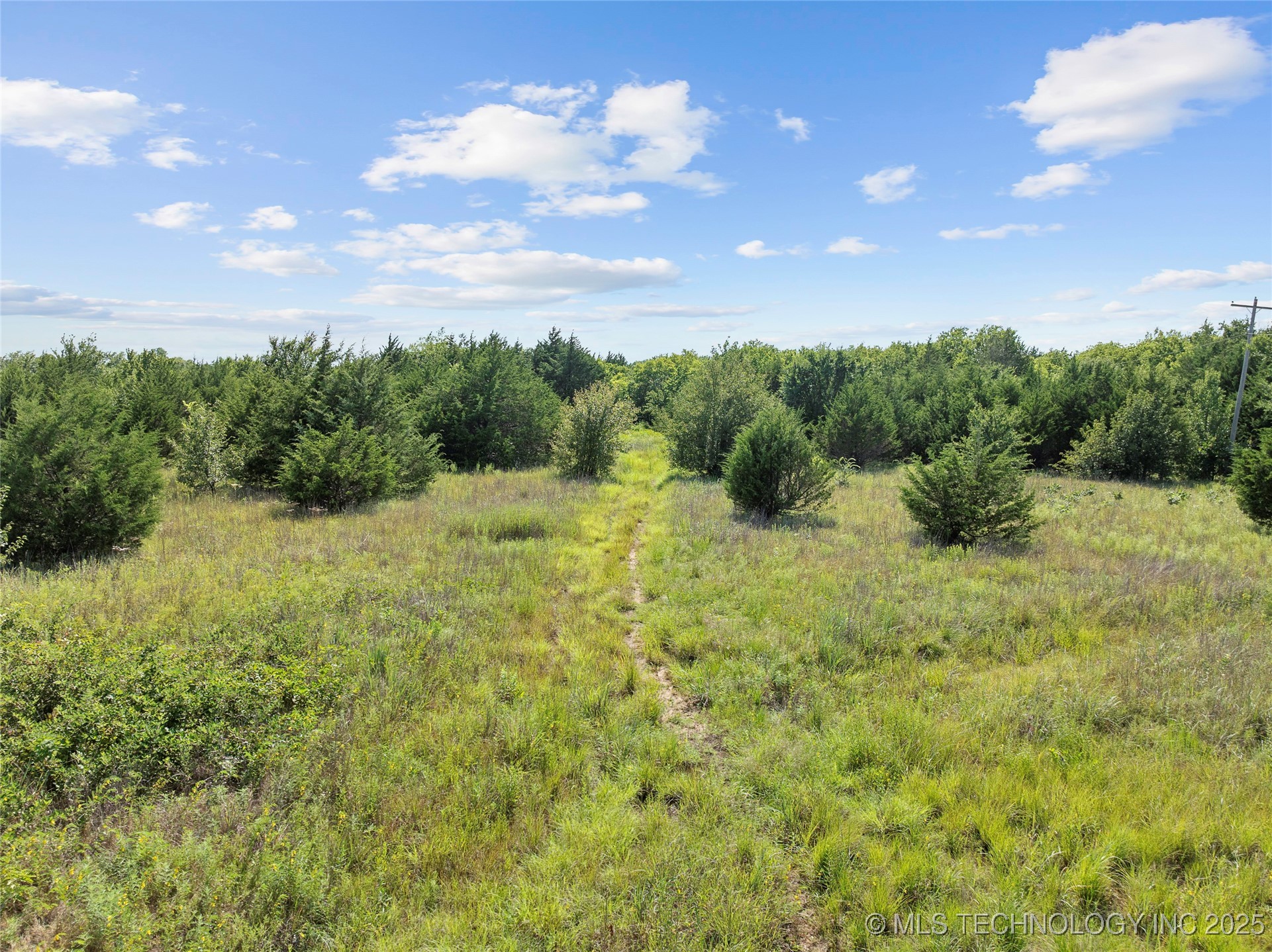 0 Evergreen Street Property Photo 1