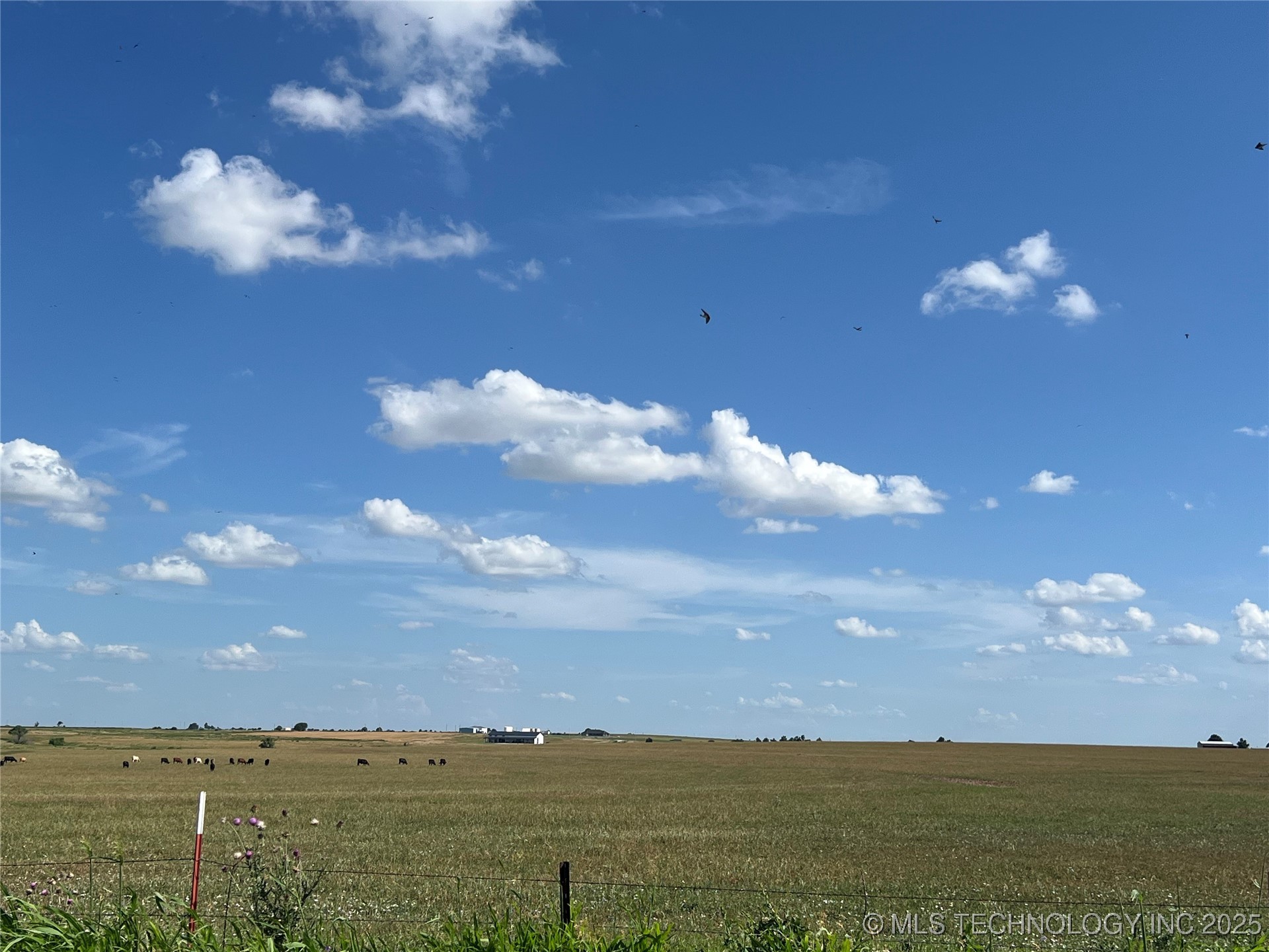 000 Elm Street W Property Photo 3