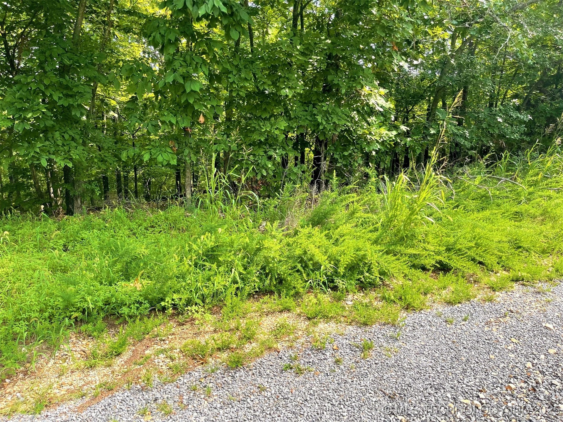 W Canyon Rock Road Property Photo 1